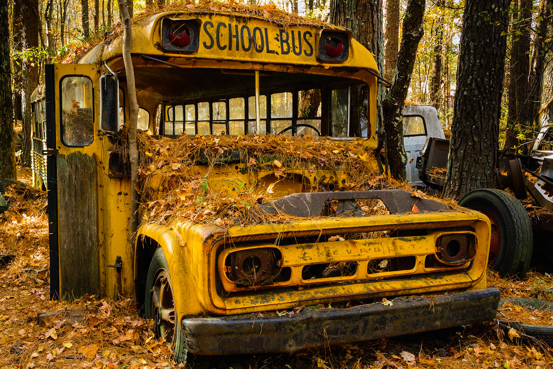 DTGD25760-Old Chevy School Bus