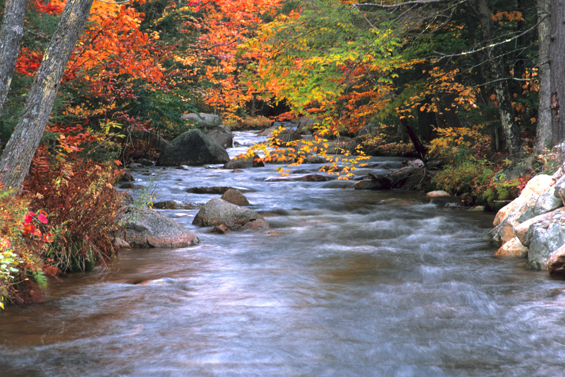 DTG00124 Fall Sanborn Brook