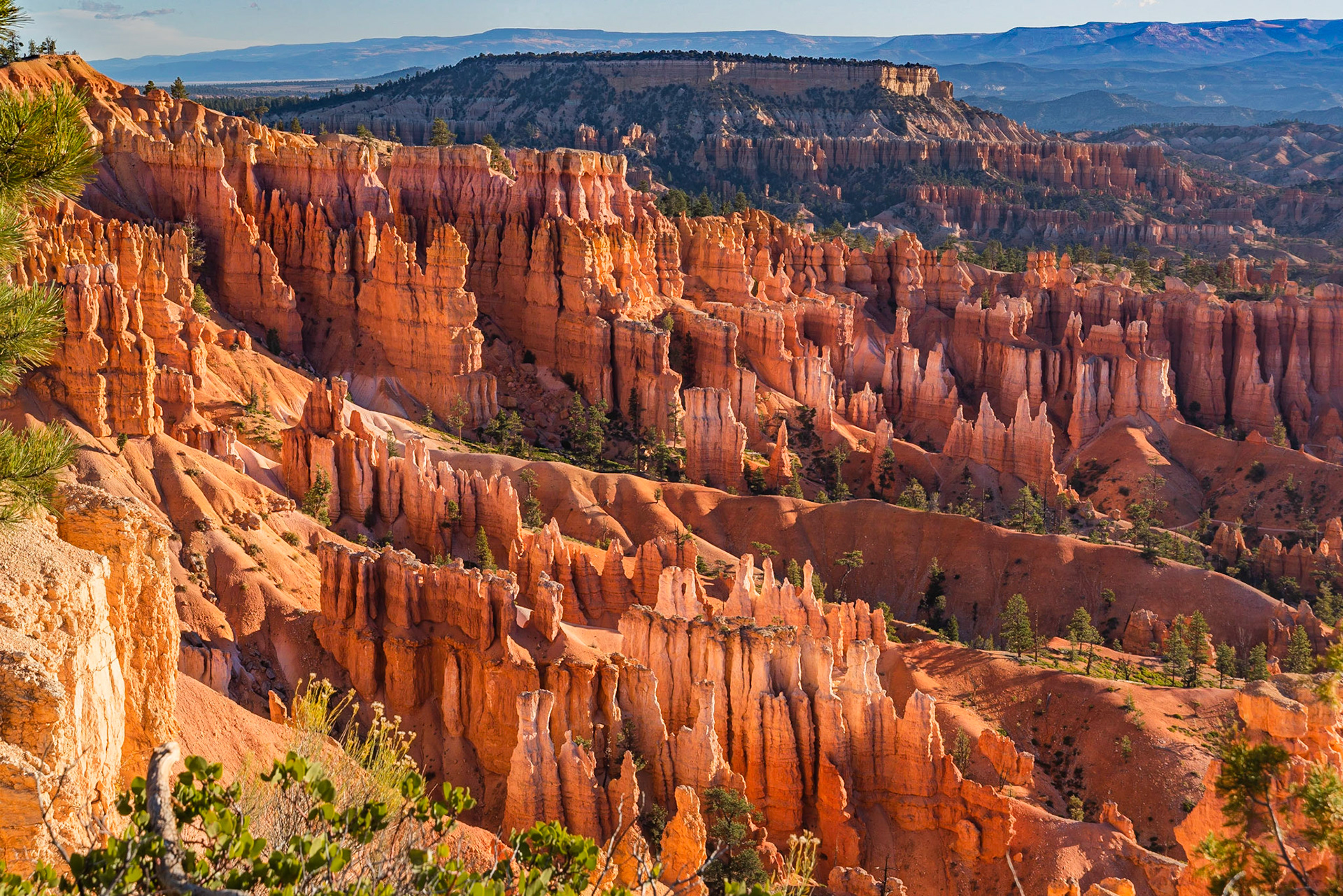 DTGD22201Bryce Canyon in early morning light.