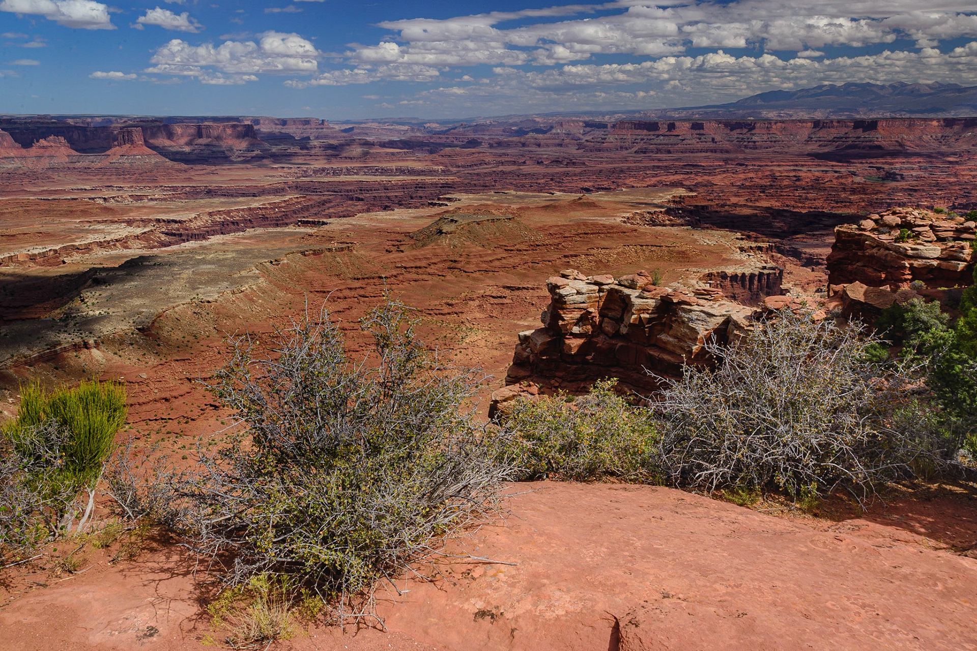 DTGD21748 Canyonlands Nat'l Park overlooking th White Rim