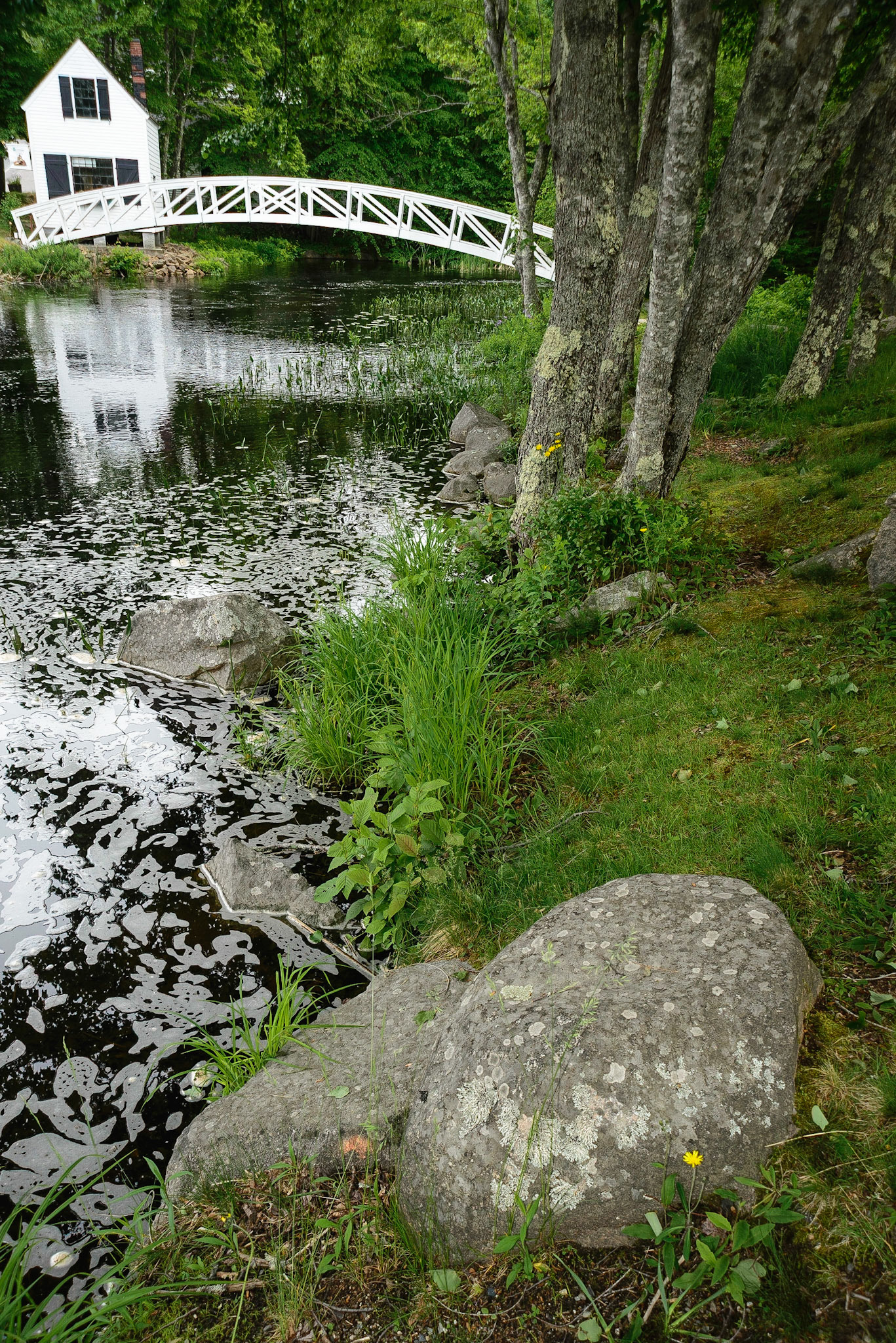 DTGD15303 Somesville Bridge, ME