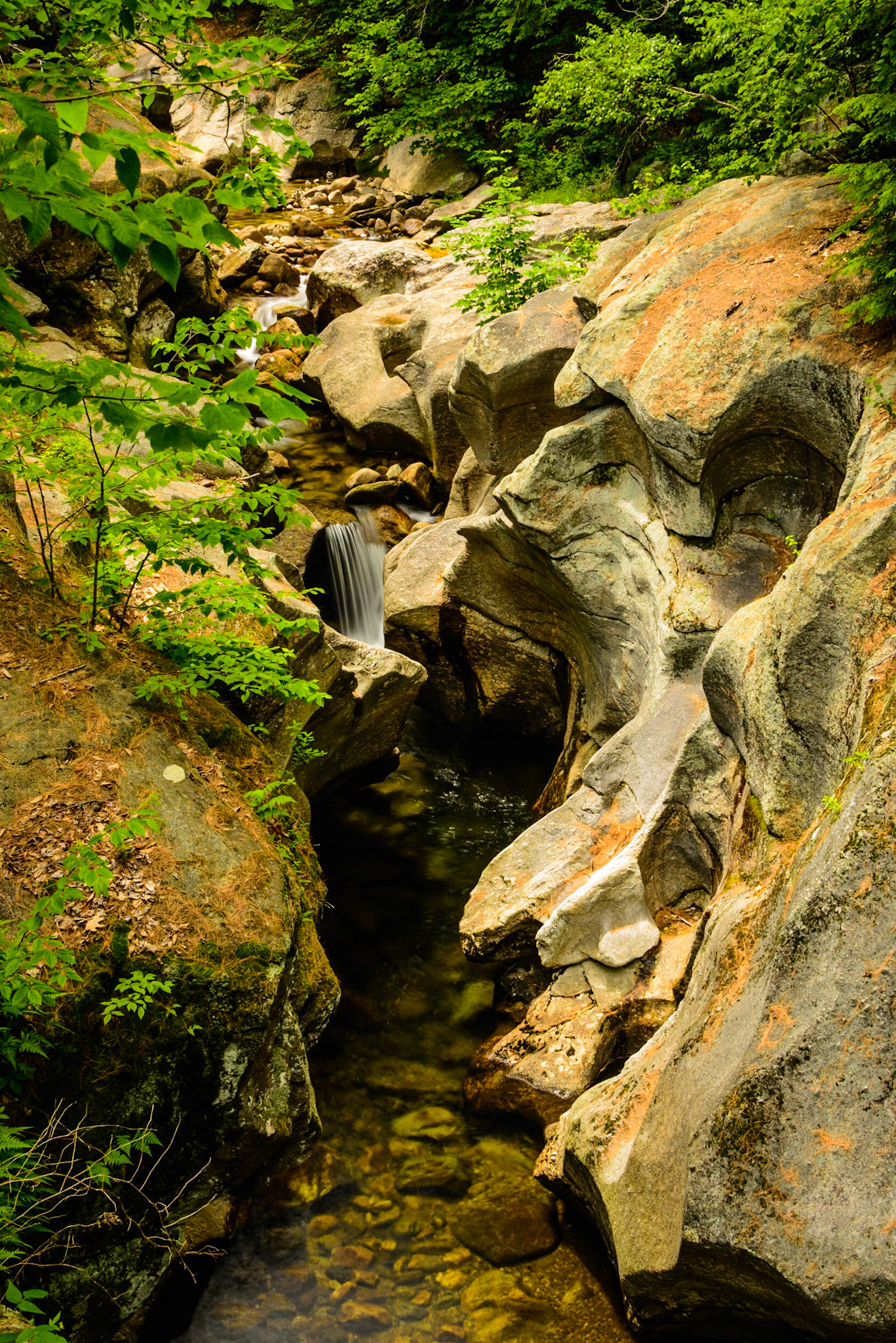 DTGD26668 Sculptured Rocks