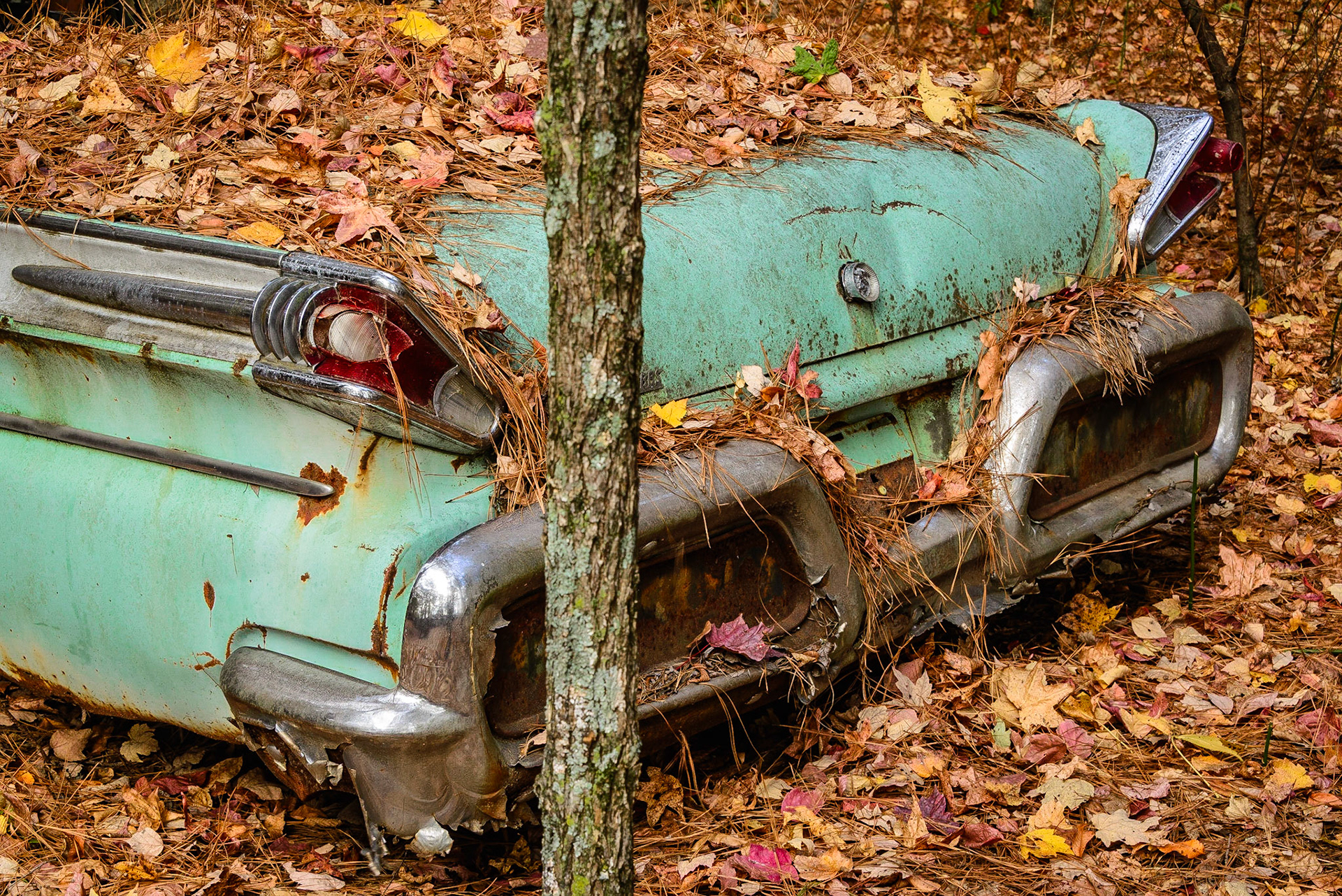 DTGD25789-Old Car City, '58 Mercury