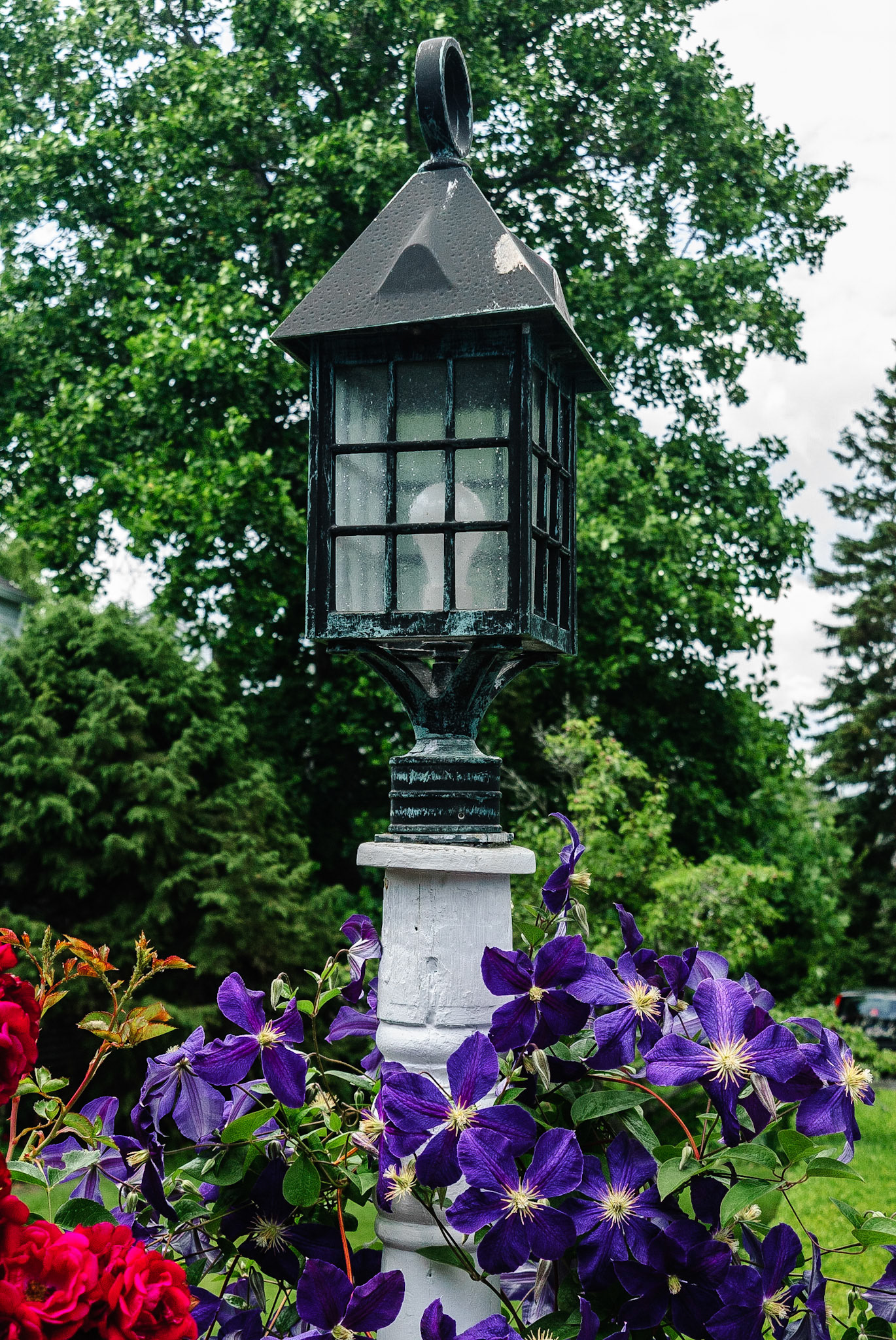 DTGD00328. Flowered Light Post