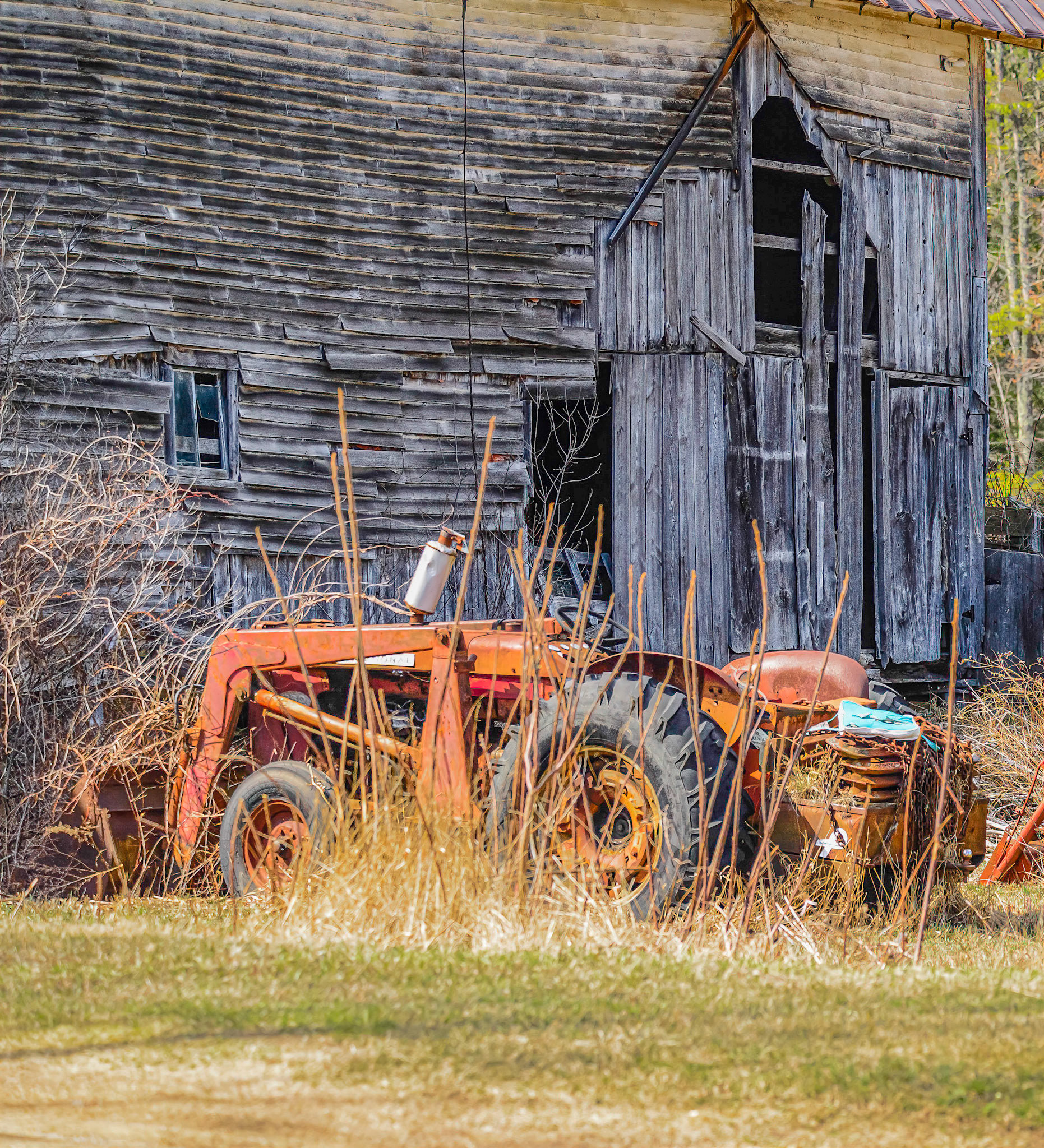 DTGD34244-Old Farmall Tractors