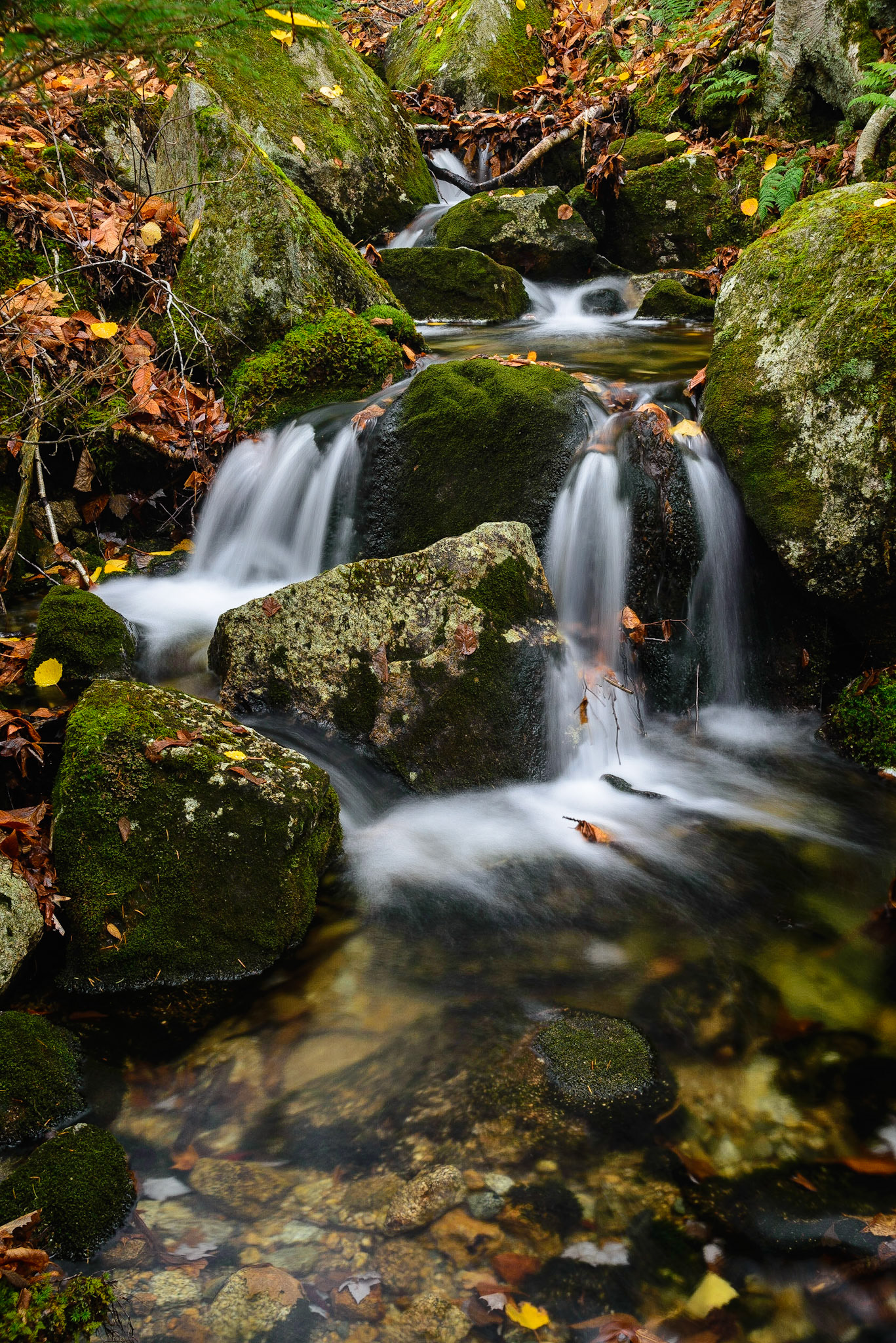 DTGD18980 Sebosis Brook, Mount Clinton Road
