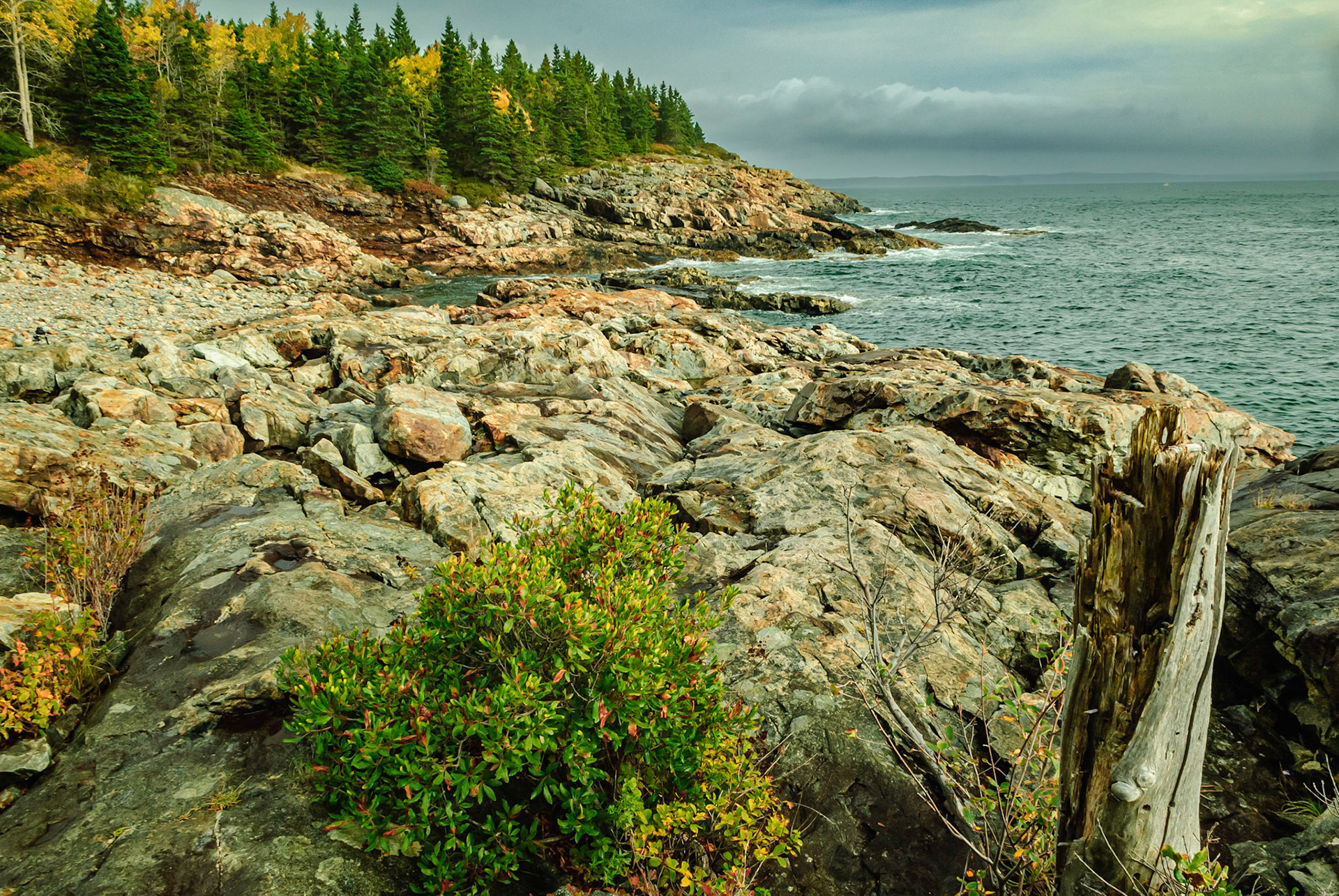 DTGD13432 Maine Coast