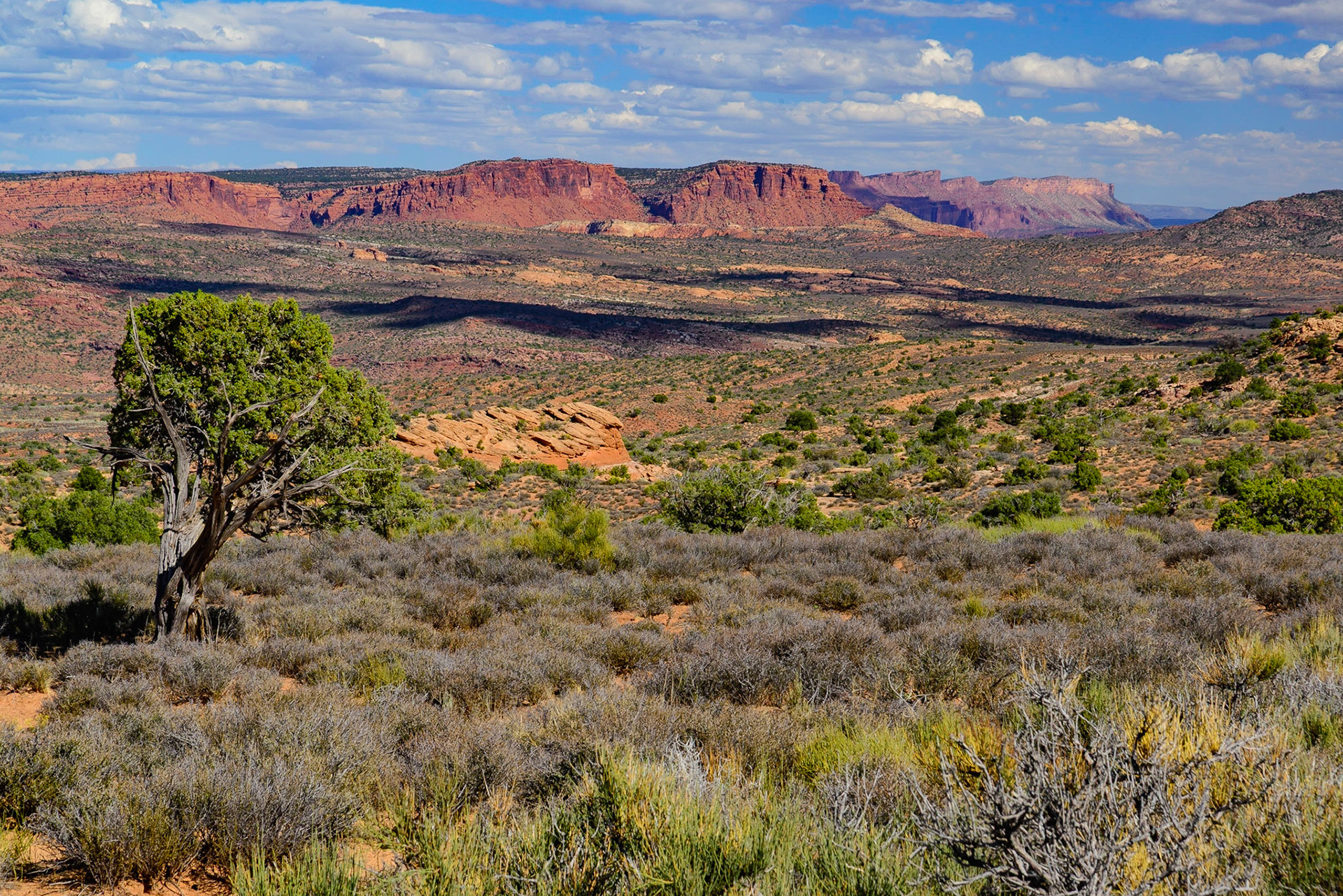 DTGD21615 Areches National Park