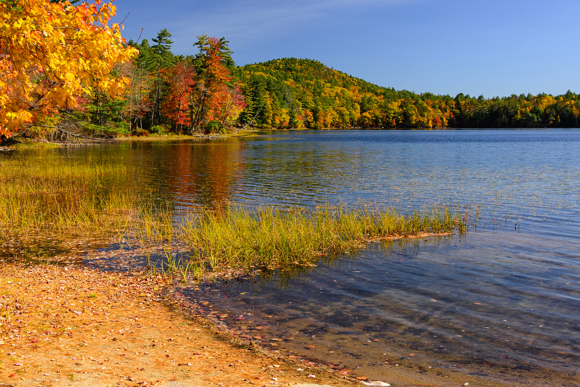 DTGD40119 Manning Lake
