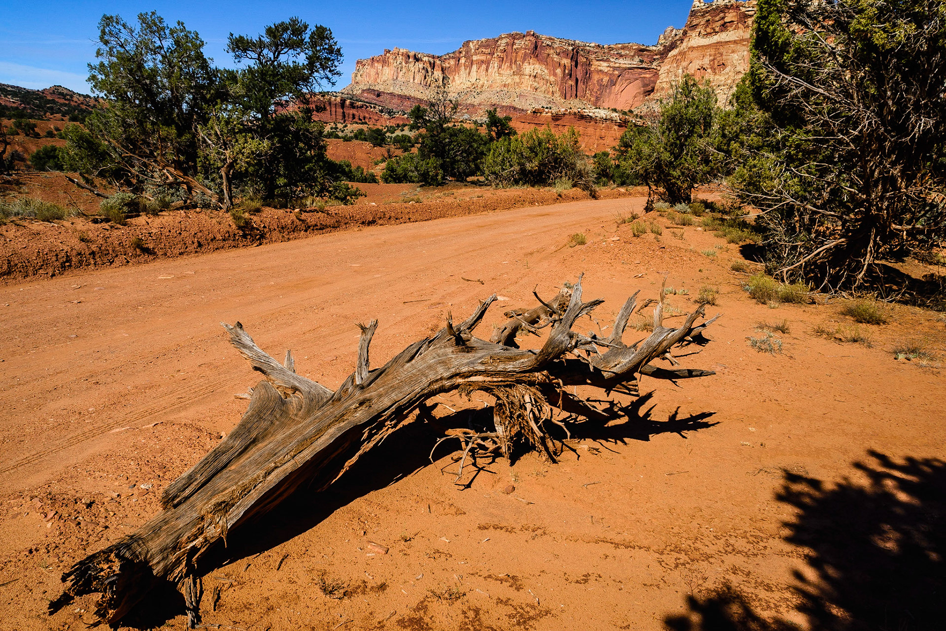 DTGD21989 Pleasant Creek Road in Capital Reef Nat'l Park.