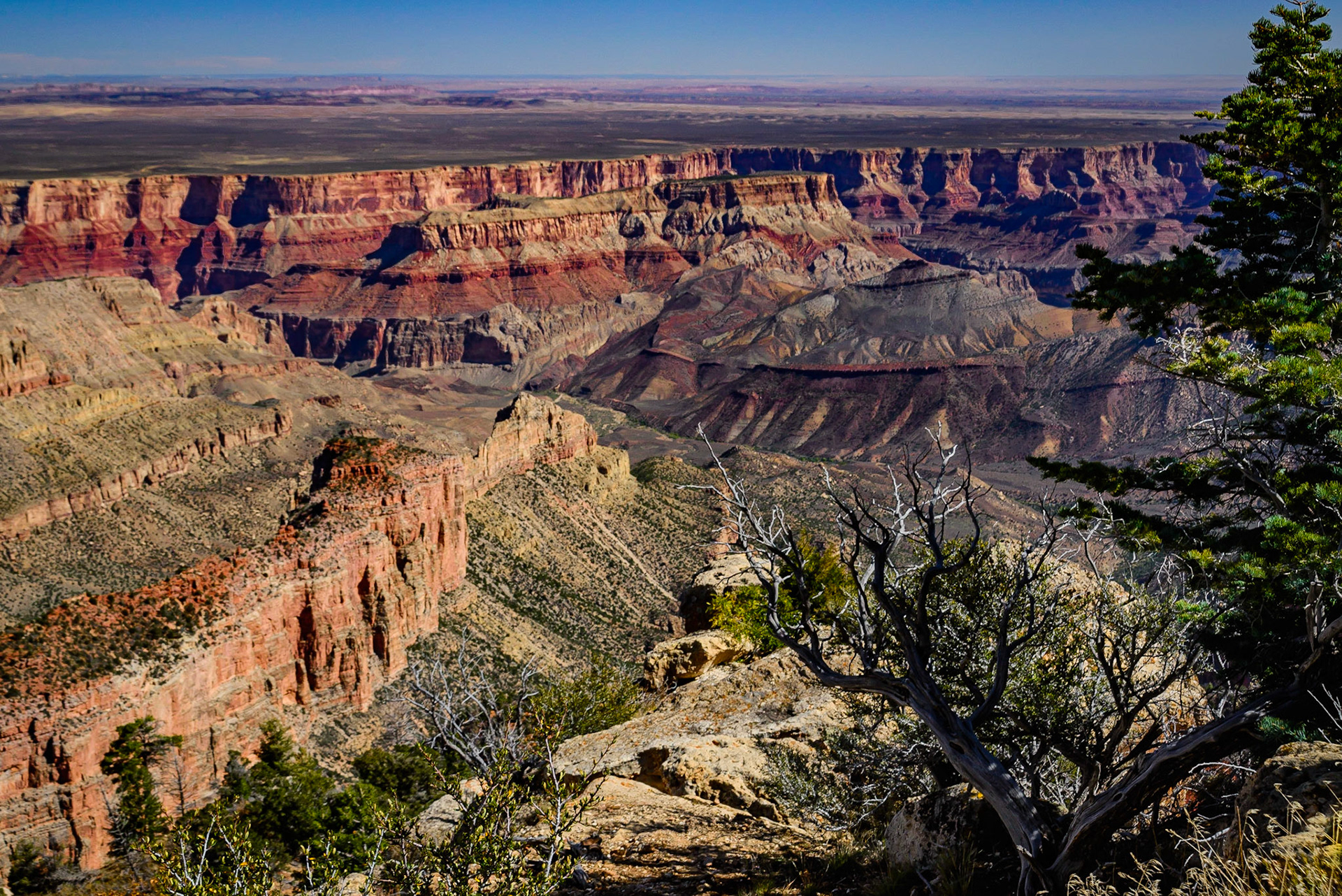 DTGD22396 Grand Canyon, North Rim