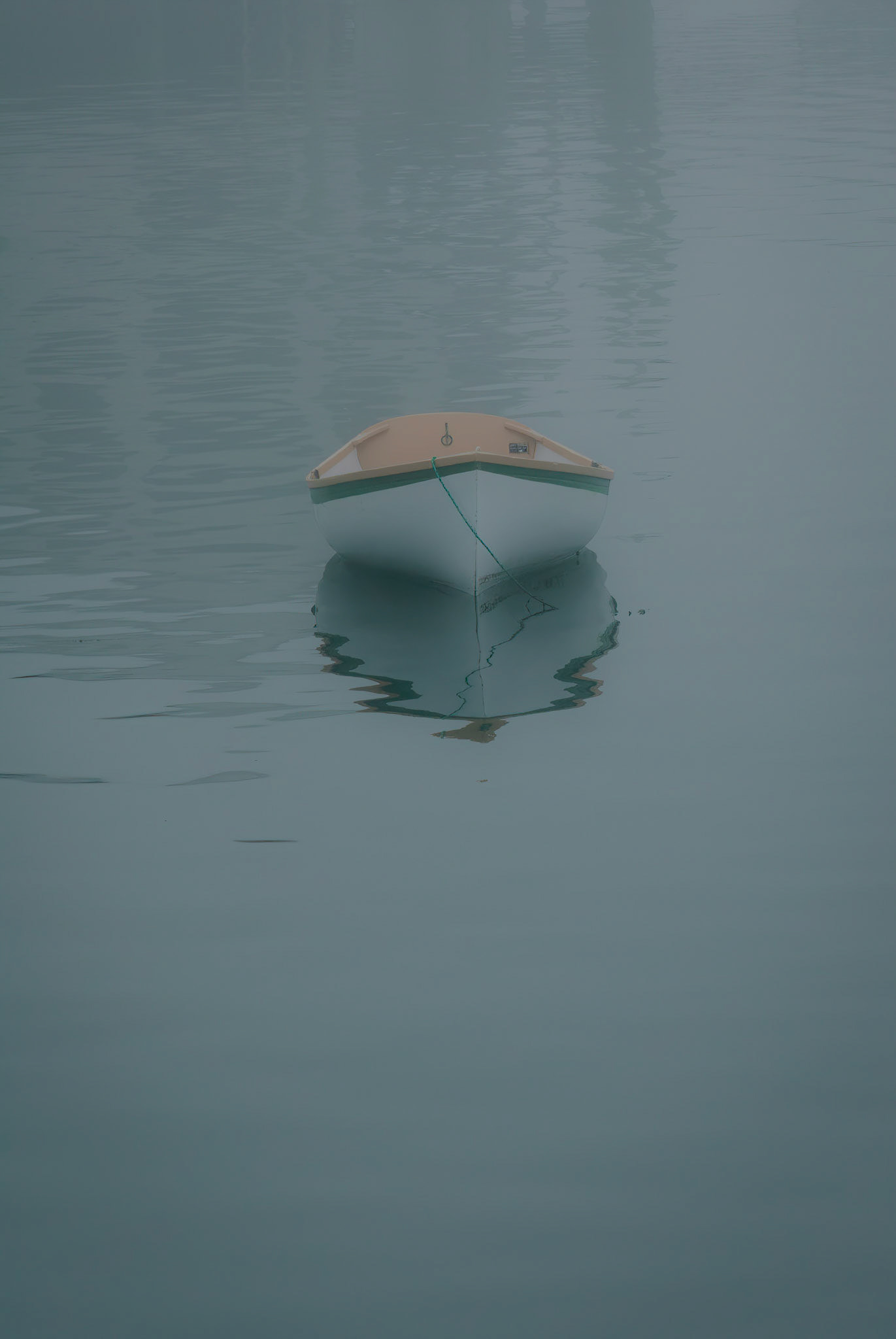 DTGD00467 Bass Harbor Row Boat on Foggy Morning