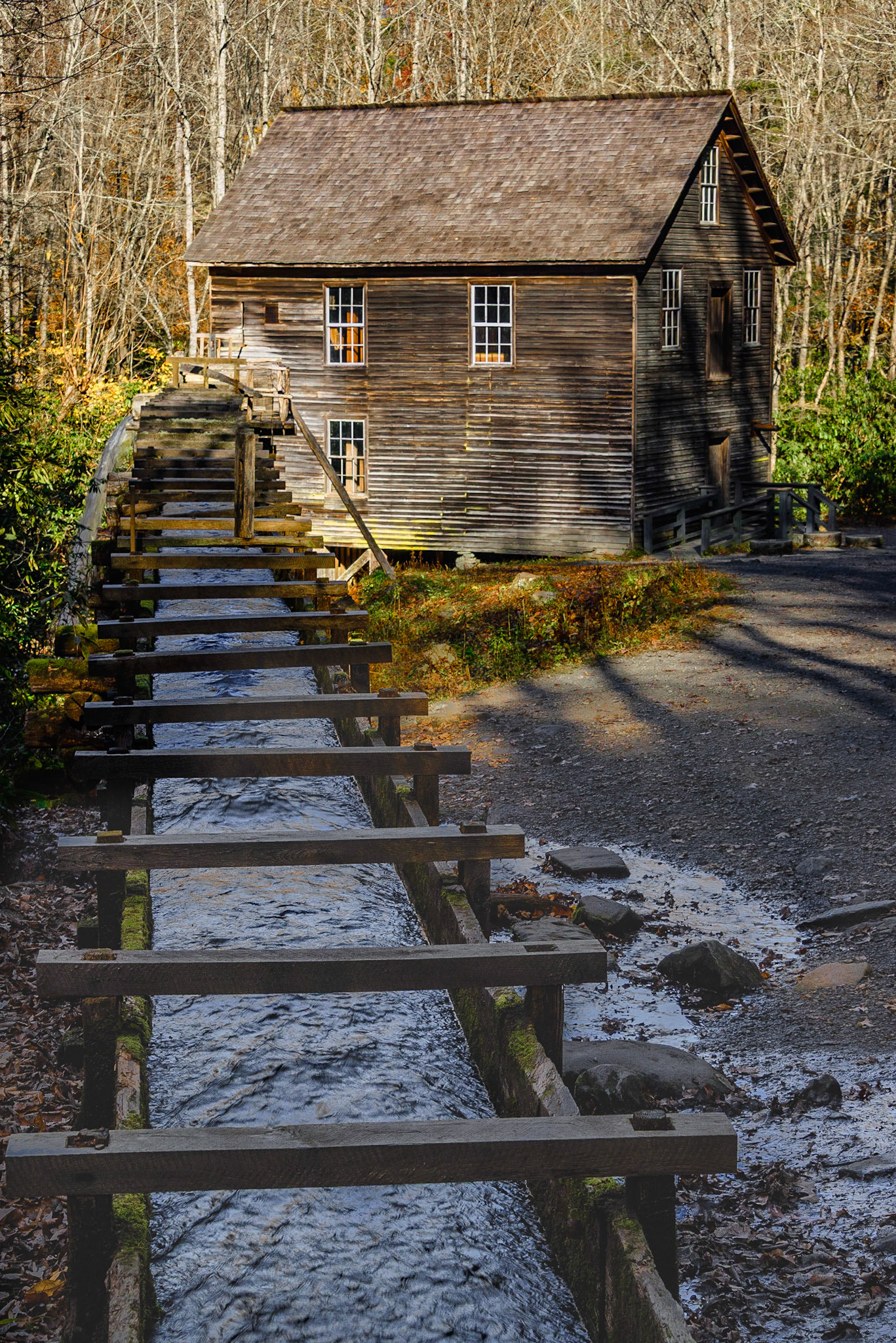 DTGD25360 Mingus Mill