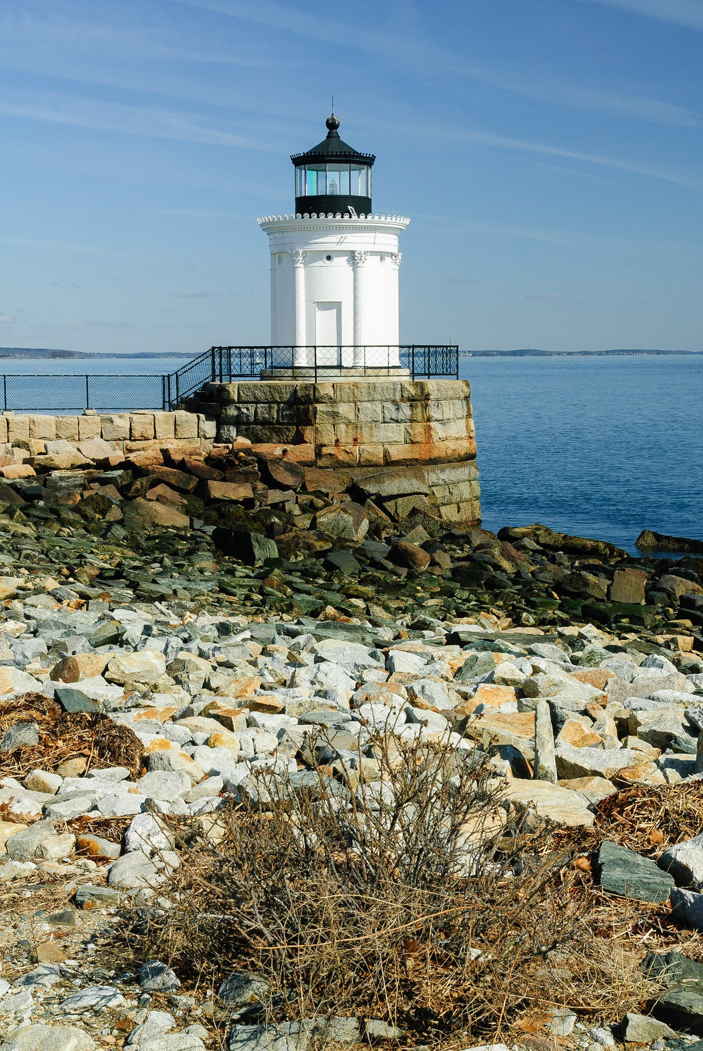 DTGD11817 Bug Light