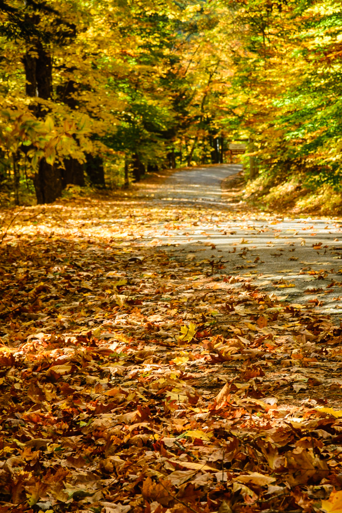 DTGD16473 Pasaconaway Road