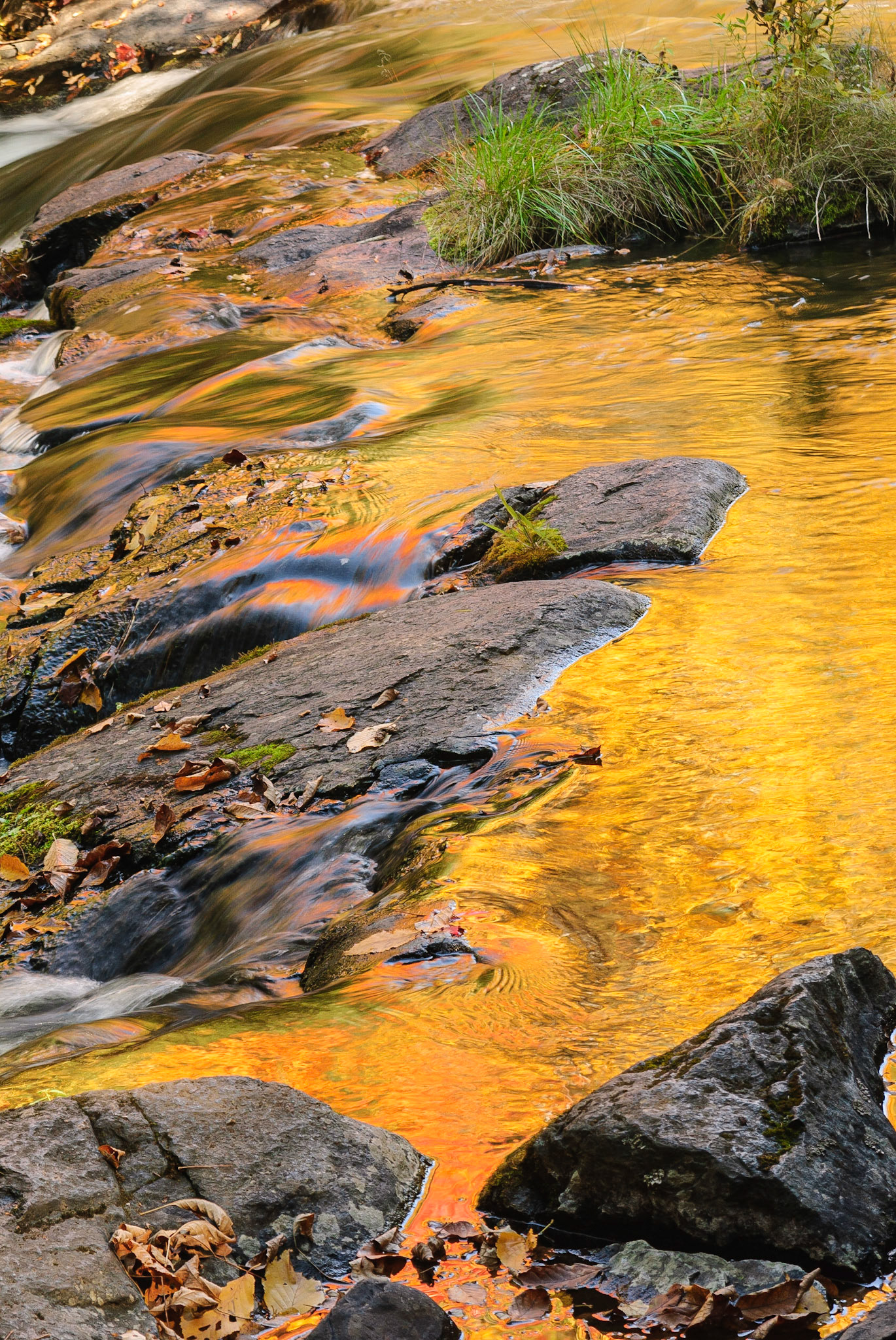 DTGD12709 Bond Falls, Fall Reflections