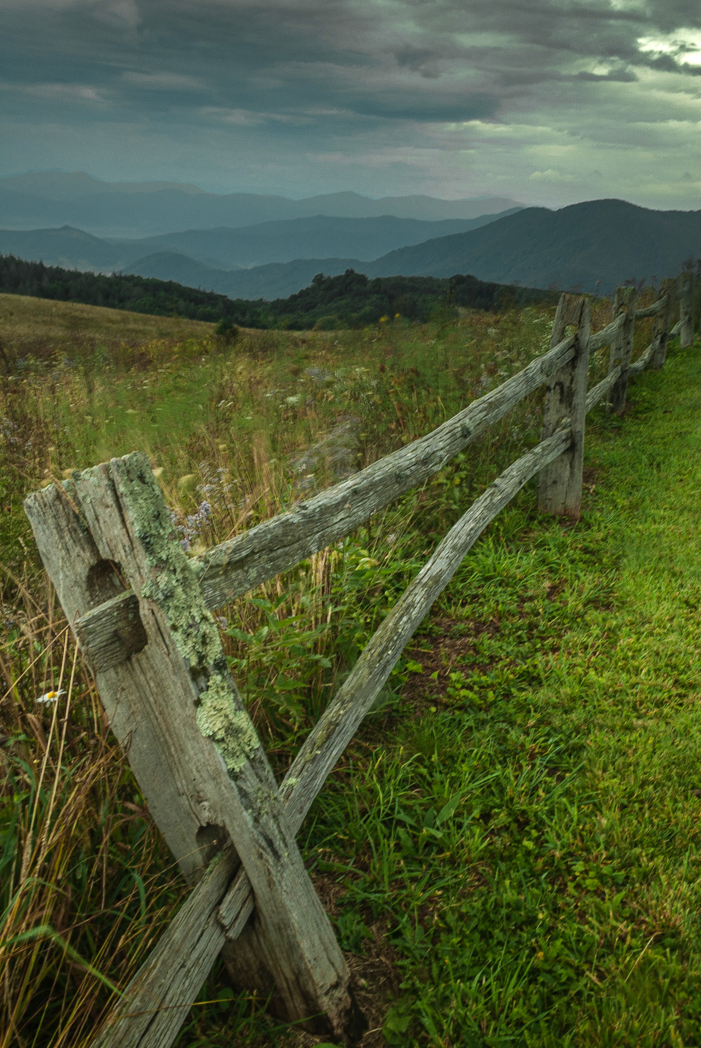 DTGD06052 Purchase Knob, Smokey Mountains