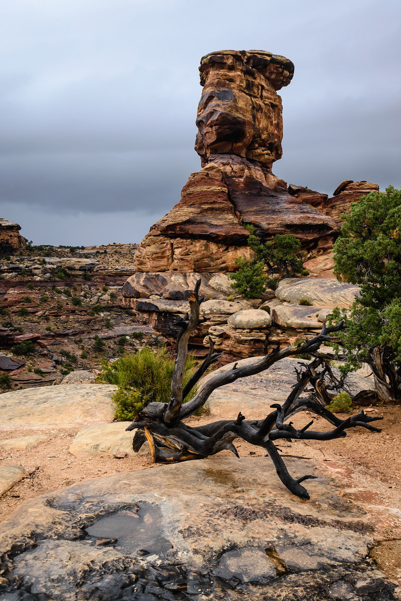 DTGD21766 Canyonlands Nat'l park in the Needles area on rainy day.