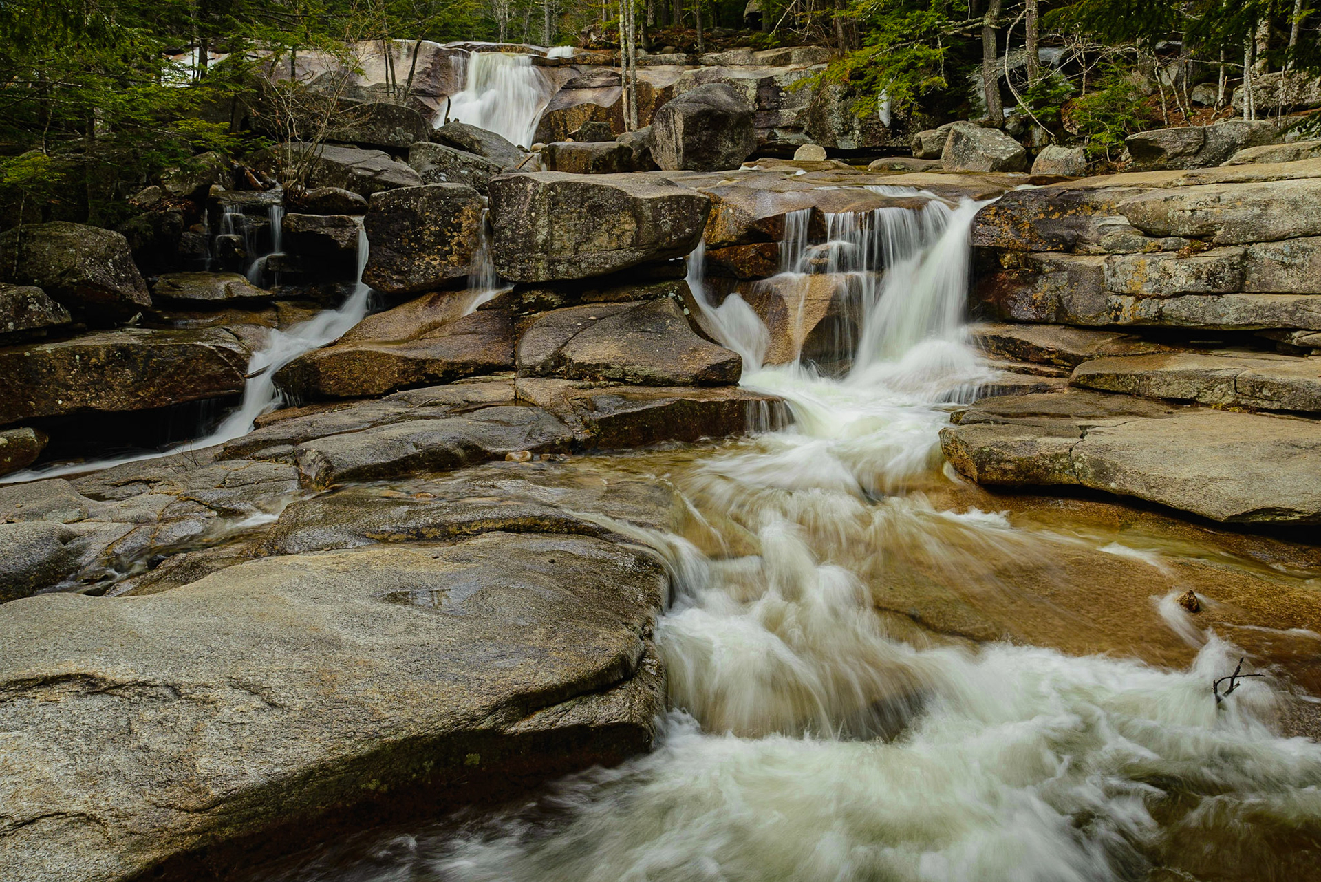 DTGD14641 Diana's Baths