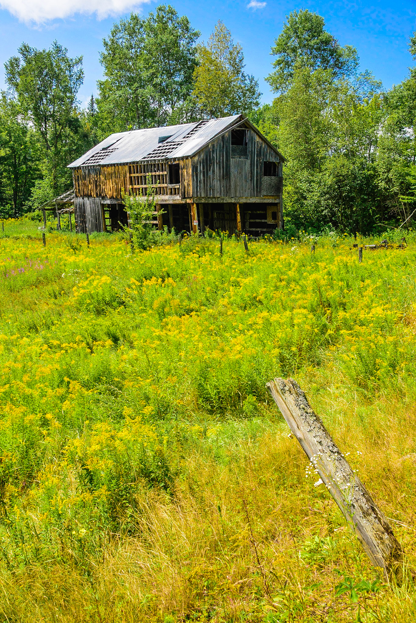 DTGD26805 Old Barn, NH