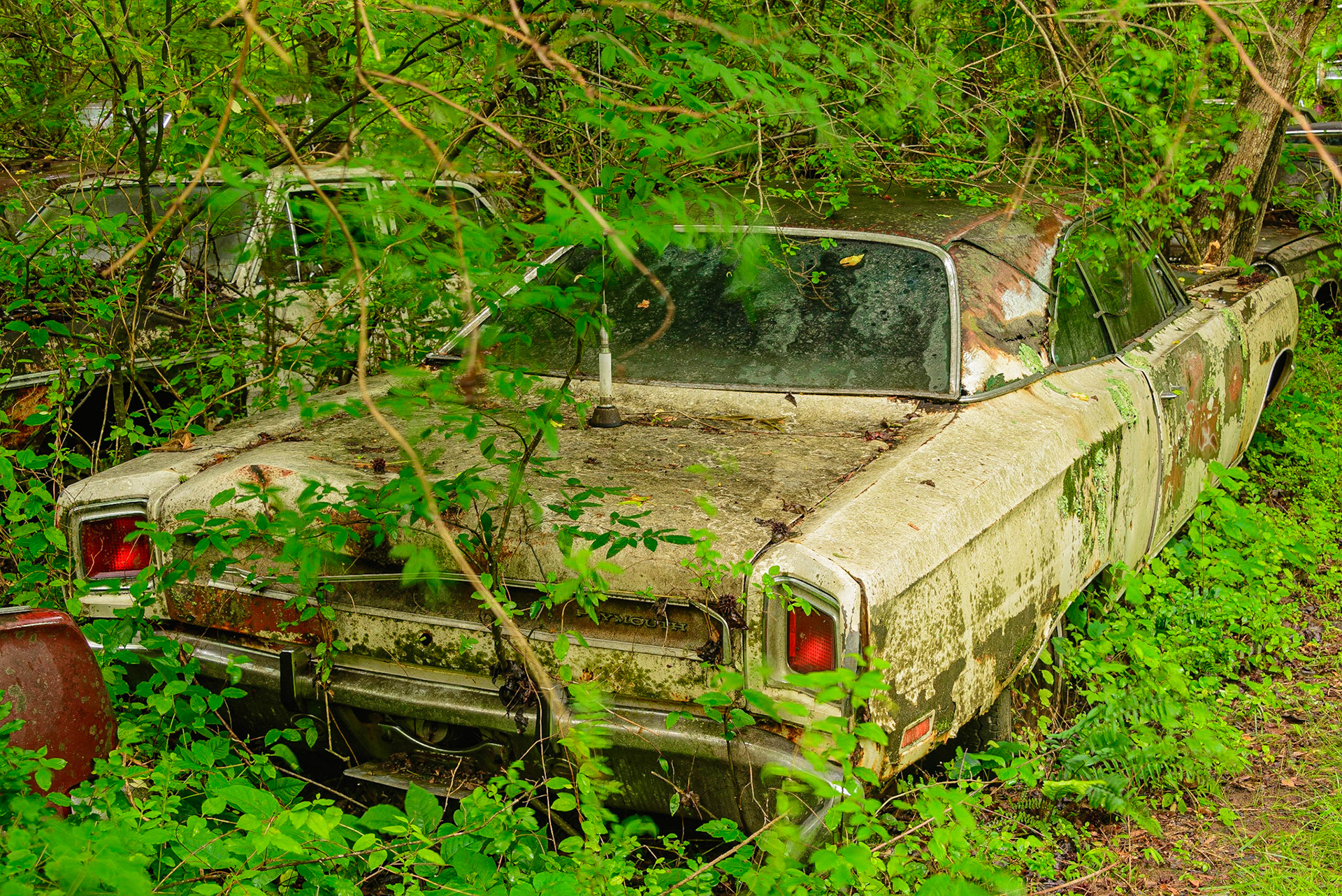 DTGD26148-Old Car City, GA, '69 Plymouth