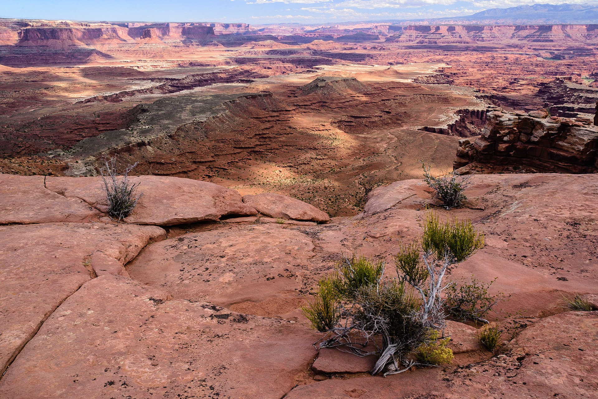 DTGD21744 White Rim, Canyonlands Nat'l PArk