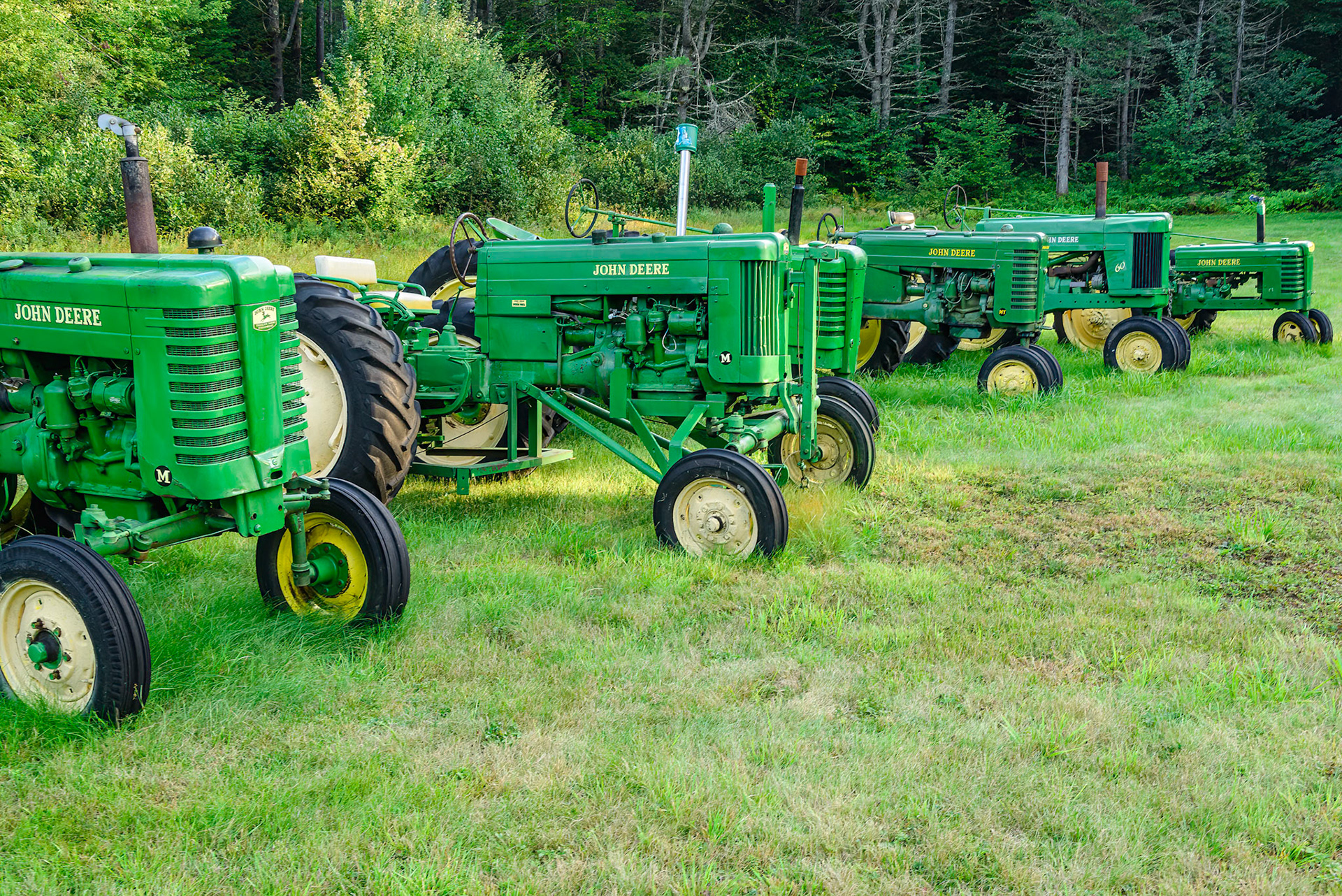 DTGD38419-Old John Deeres