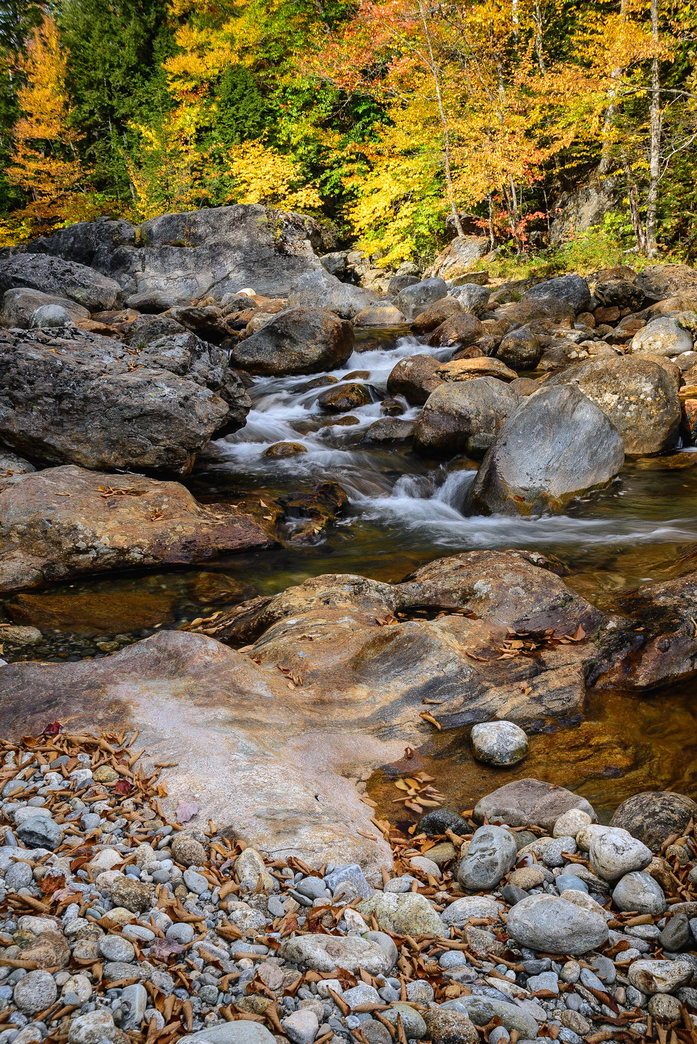 DTGD18446 Ellis Rvier, Fall 2014, Low Water this year