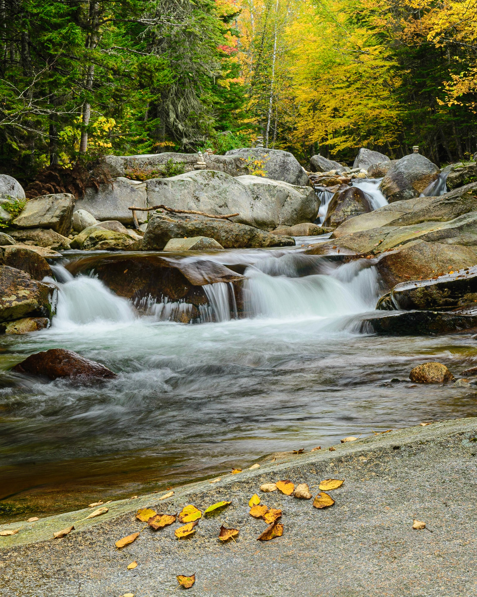 DTGD15639 Ammonoosuc River,