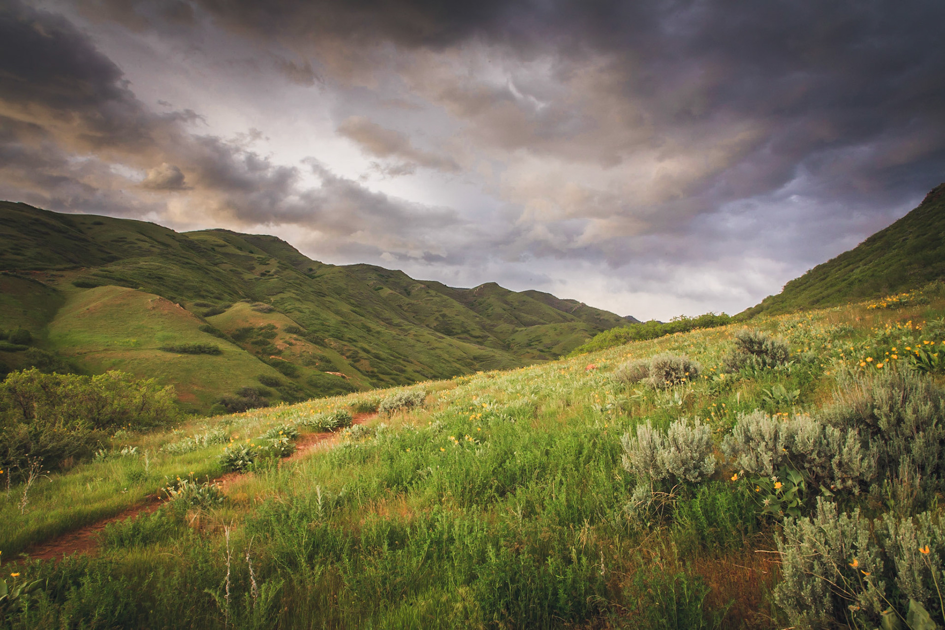 Salt Lake City, Utah, USA
