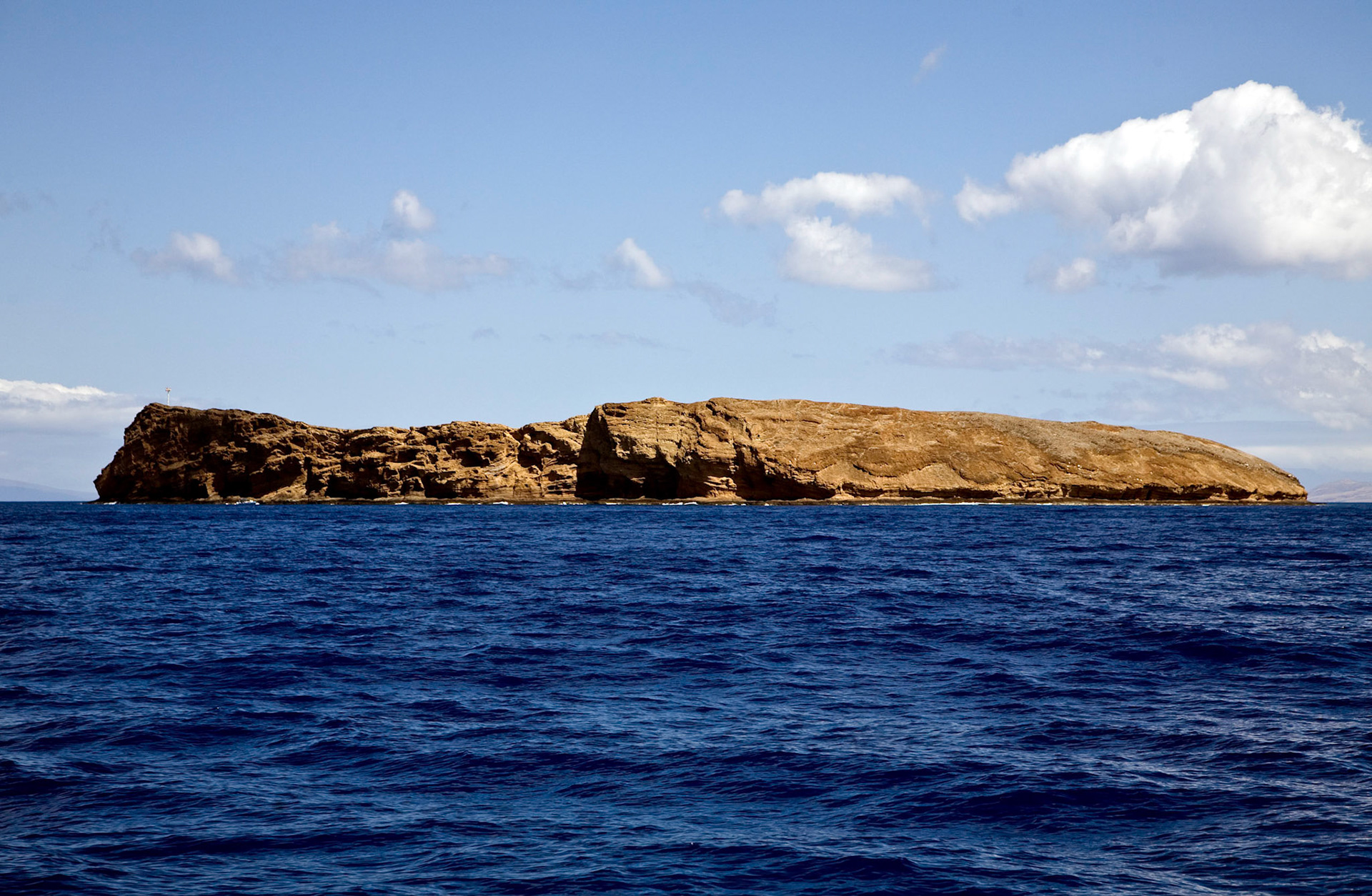 Off the coast of Maui, Hawai`i, USA