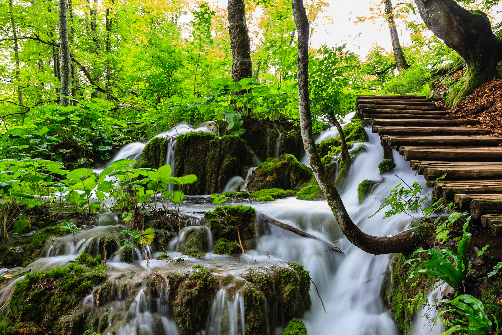 Plitvice Lakes National Park, Croatia