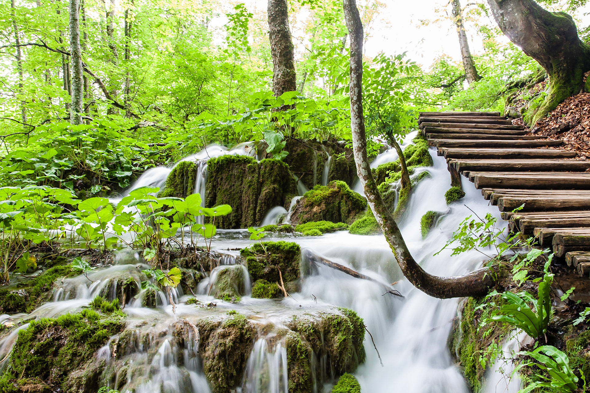 Plitvice Lakes National Park, Croatia