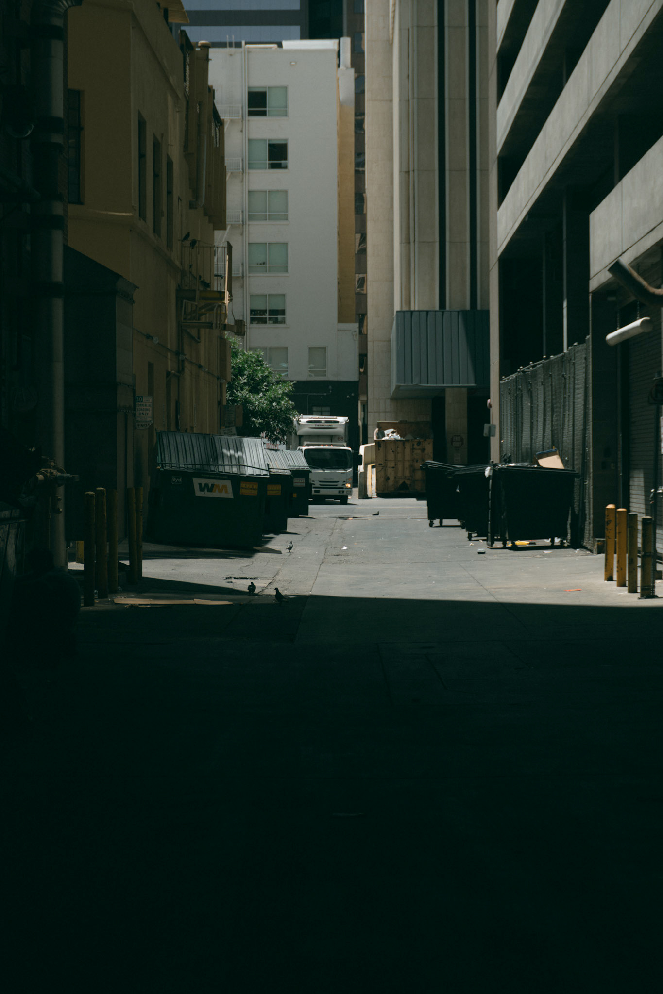 [downtown iii] 12 july 2025