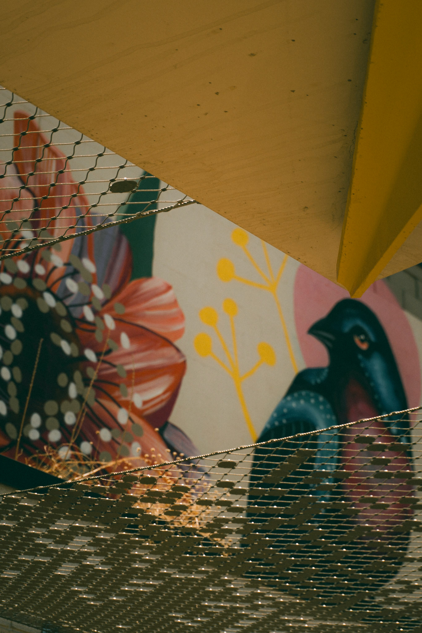 [downtown i] 12 july 2025