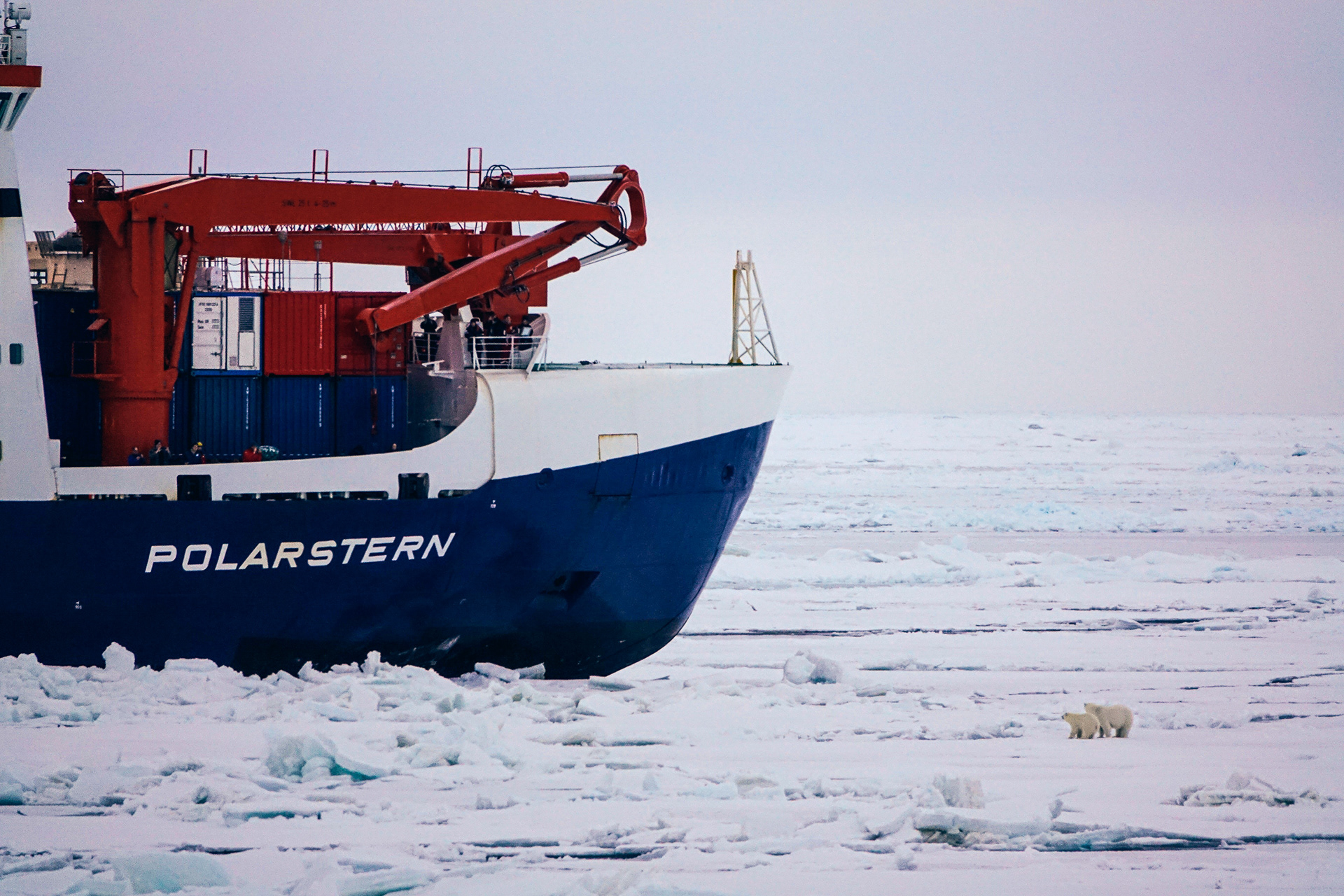 ©Friederike Krüger