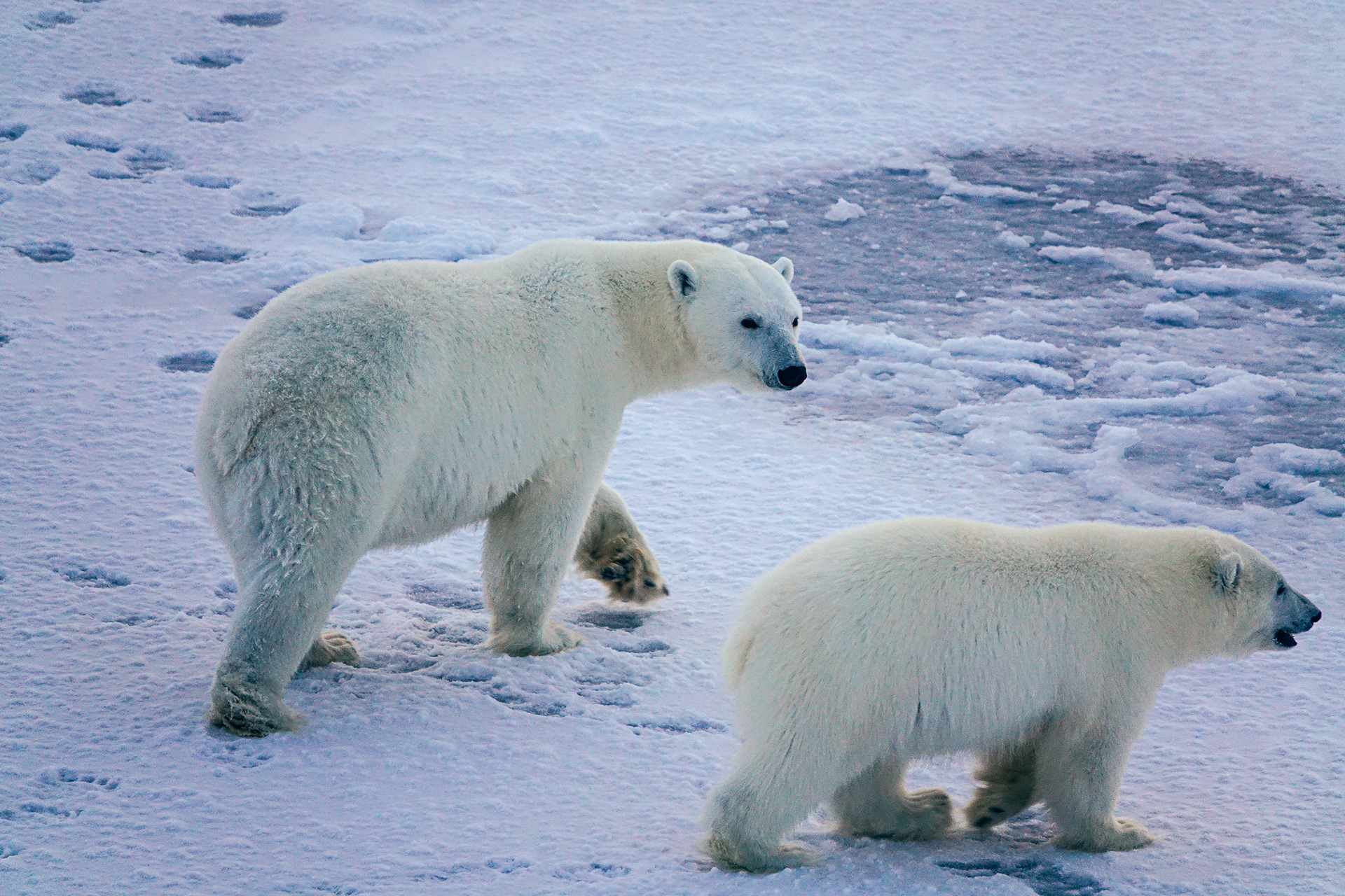 ©Friederike Krüger