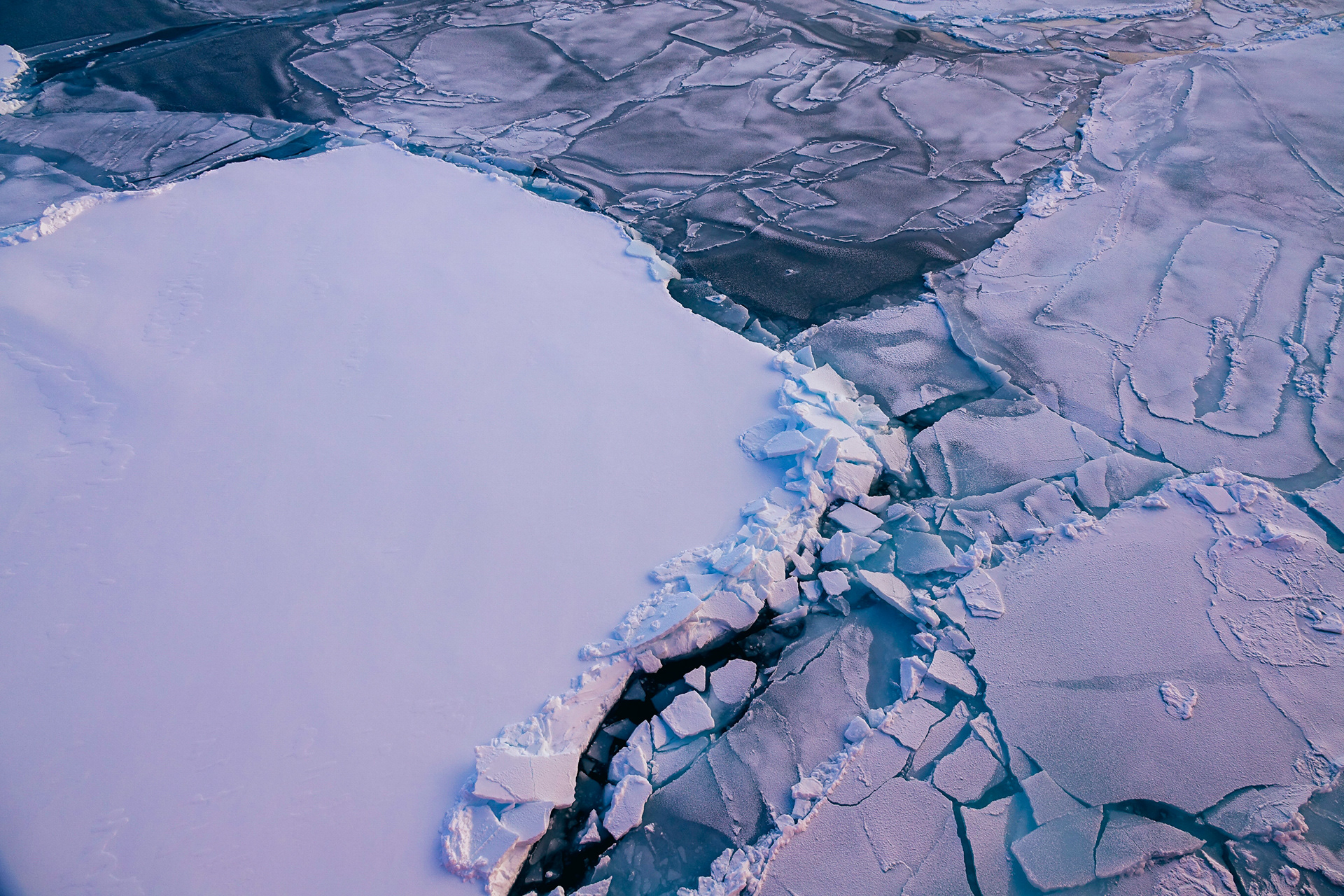 ©Friederike Krüger