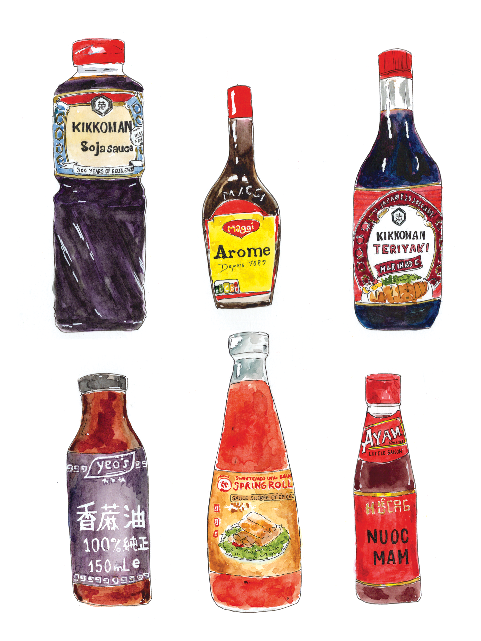 Sauces - 24x32 cm - aquarelle, encre de Chine