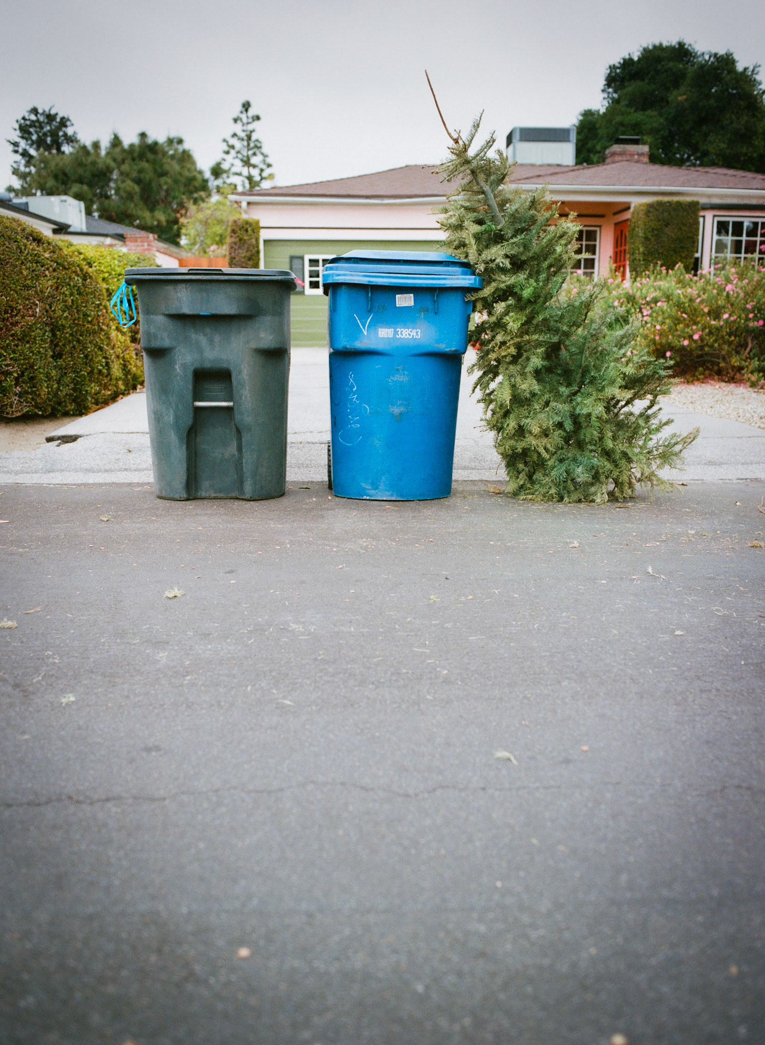 Shot on Mamiya 645 1000s