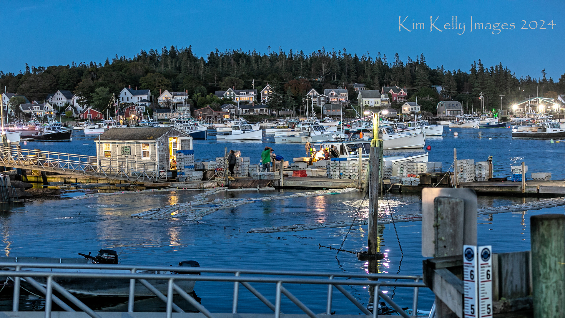 Lobster Co-op Carver's Harbor