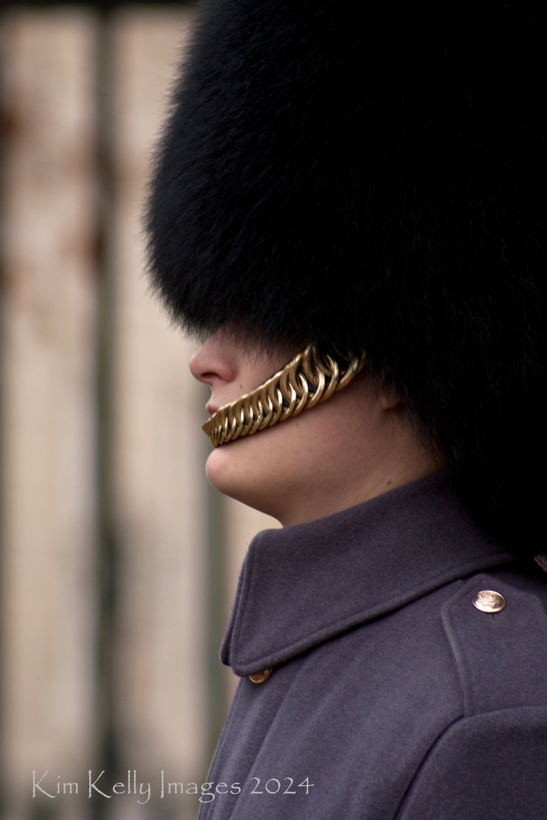Royal Guard in Profile - England