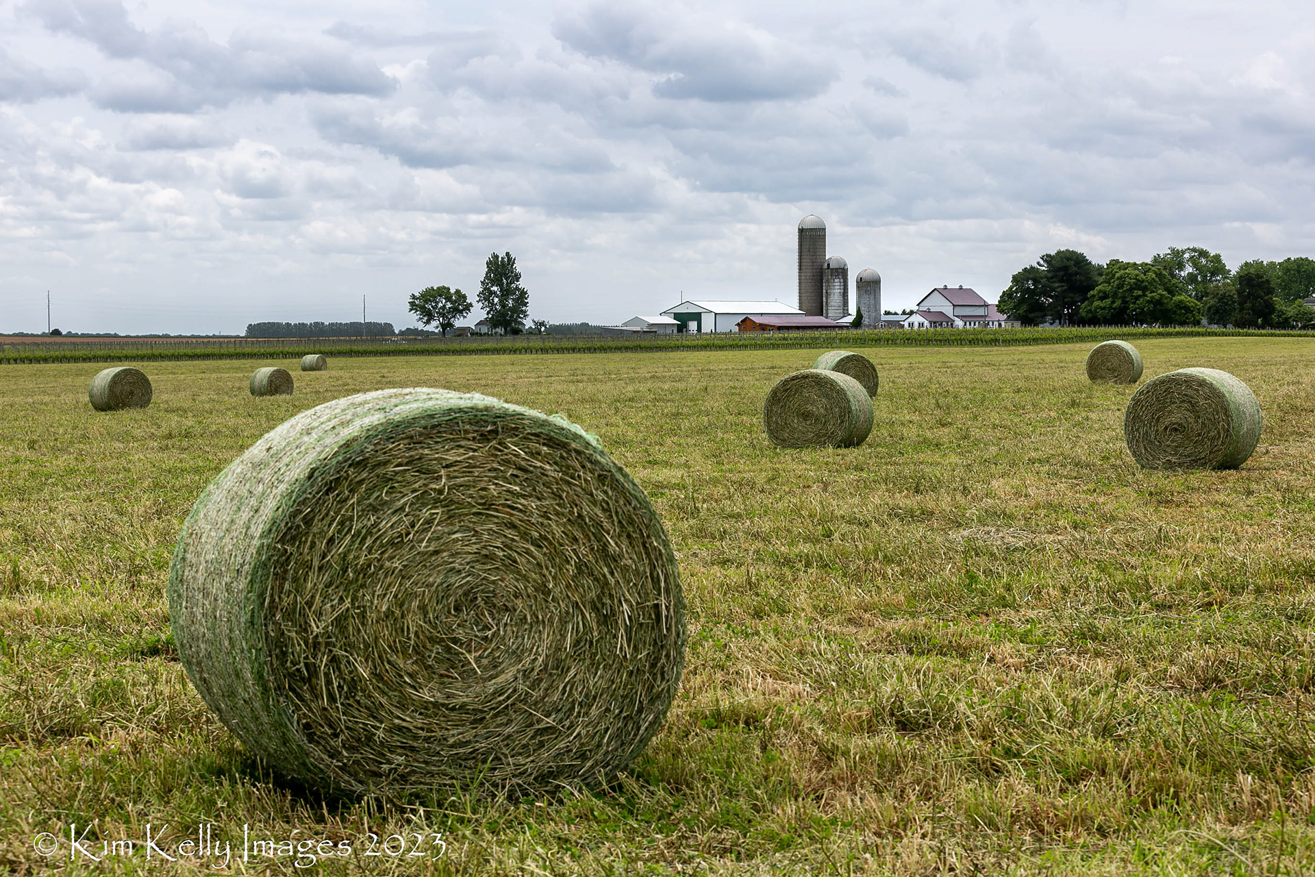 Hay Rolls at Crow Winery