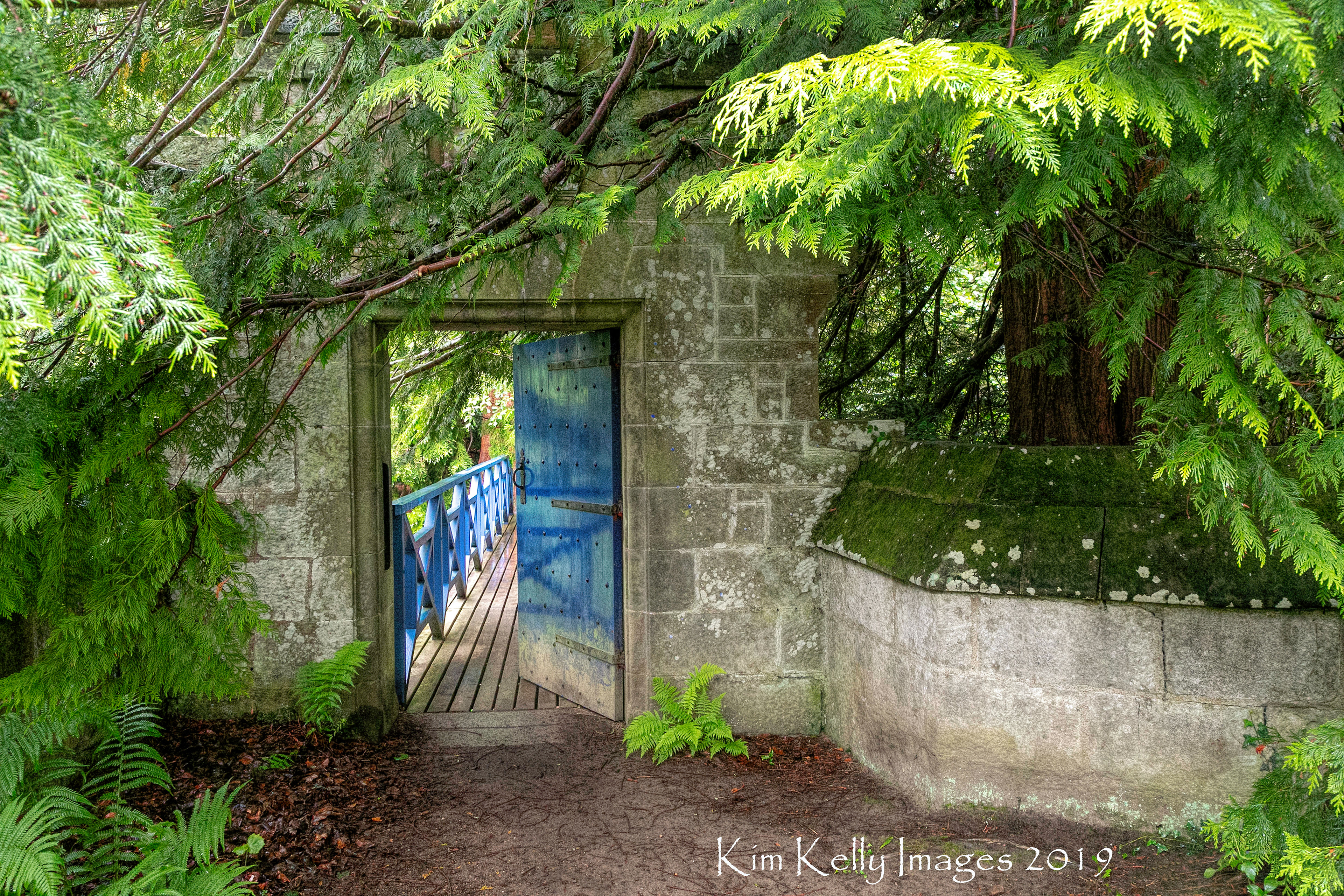 Beyond the Blue Door
