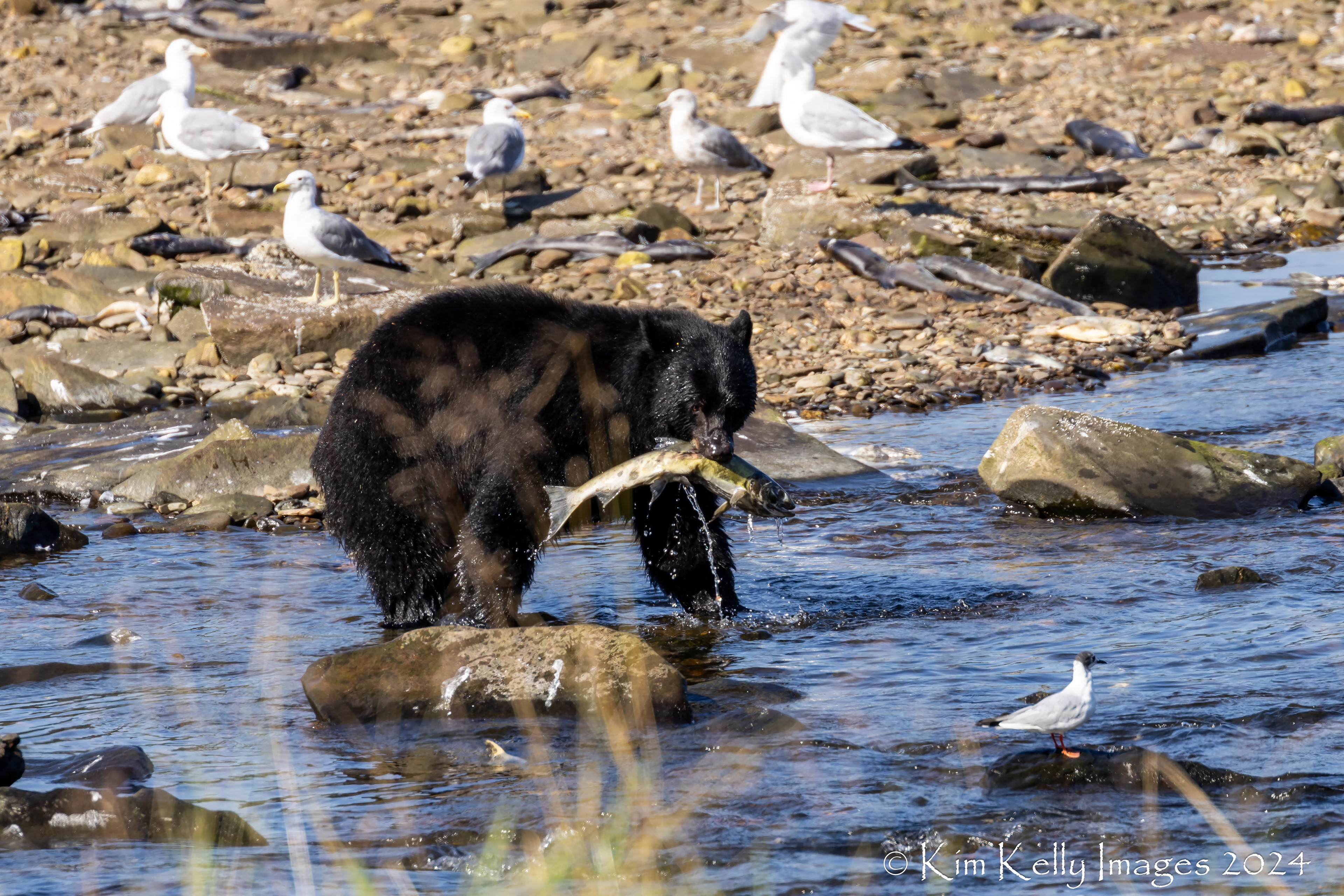 Snagged a Meal