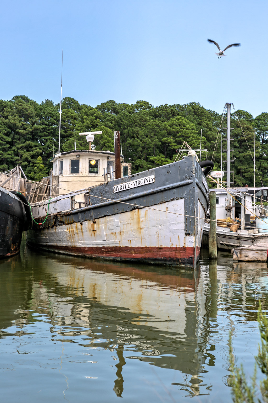 Myrtle Virginia a Buyboat