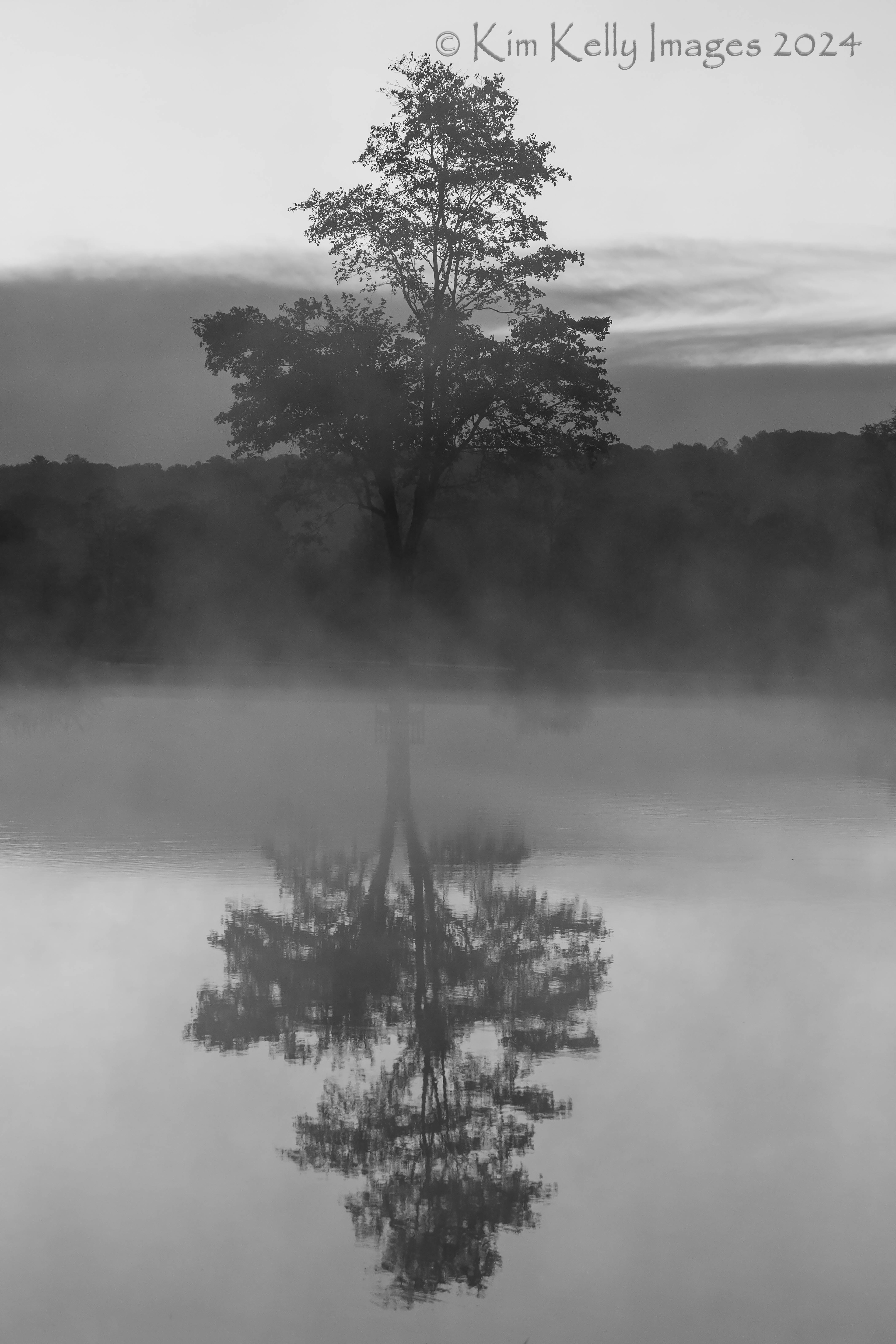 Misty Reflection