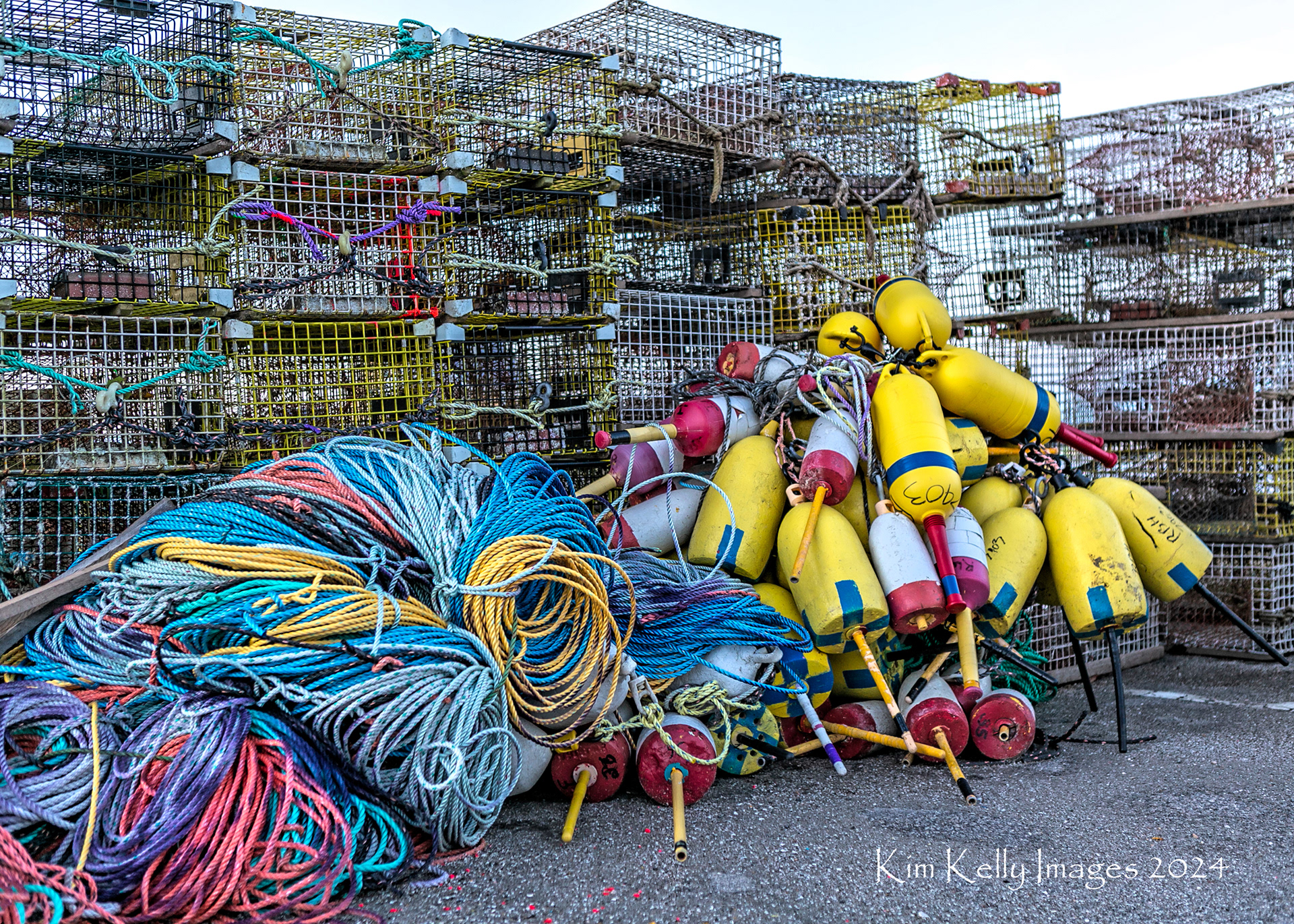 Lobster Trap Gear at Carver's Harbor