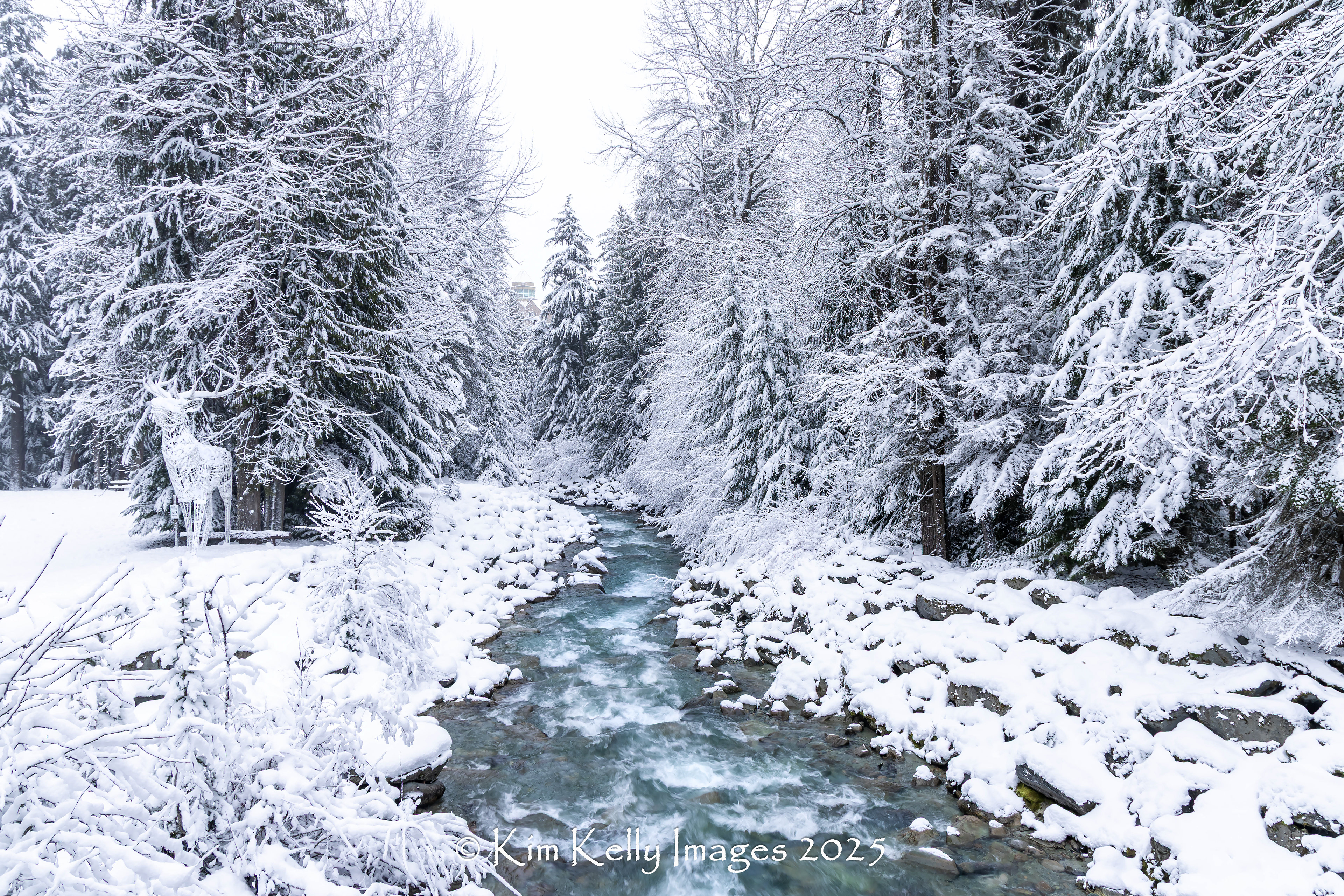 Winter Wonderland Along Fitzsimmons Creek - Whistler