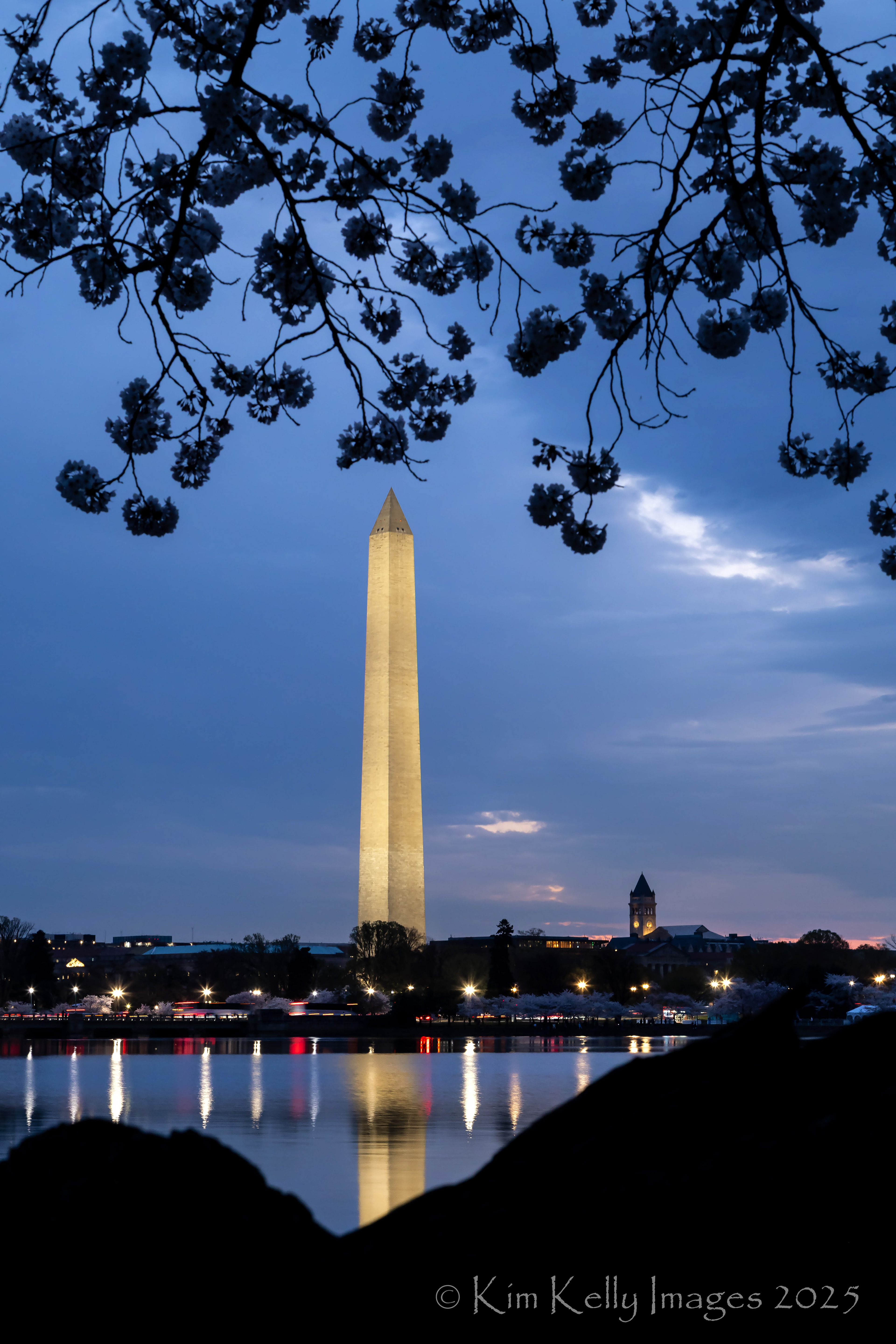 Standing Tall in Dawn's Early Light